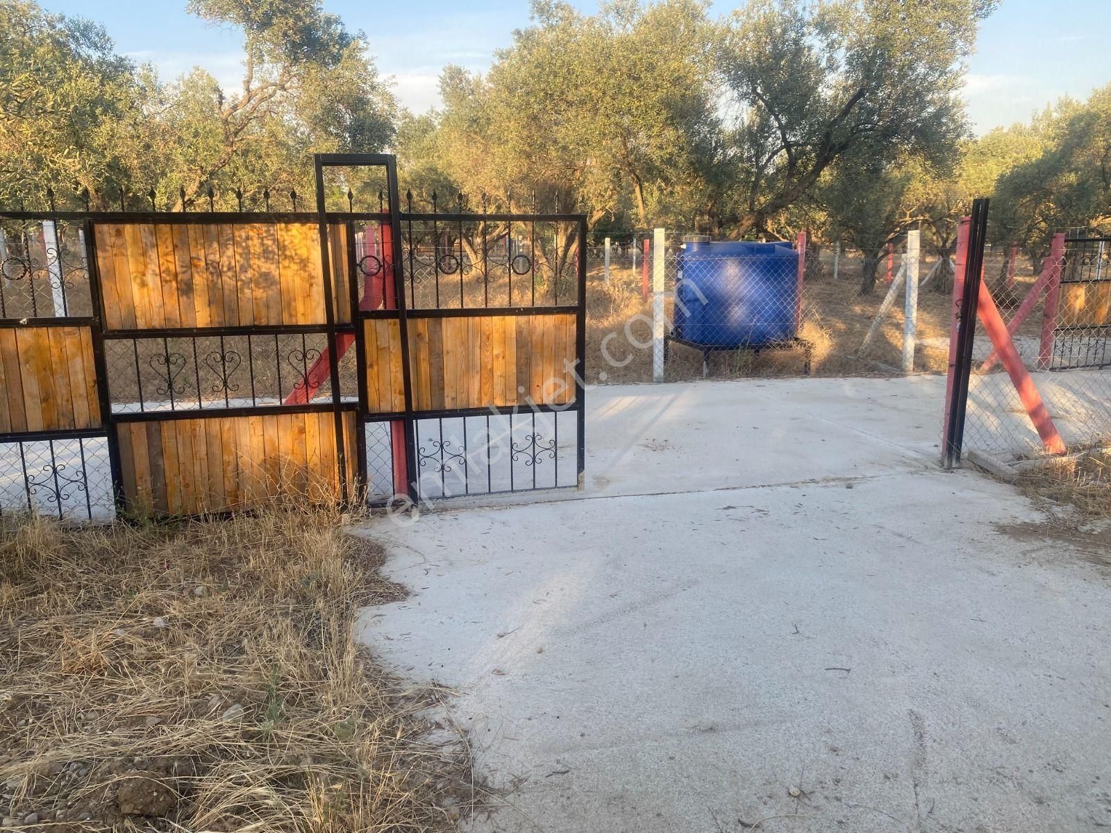 Kaya Emlak'tan Kemalpaşa Sütçüler Bölgesinde Acil Satılık 512m2 Bahçe - Görsel 14