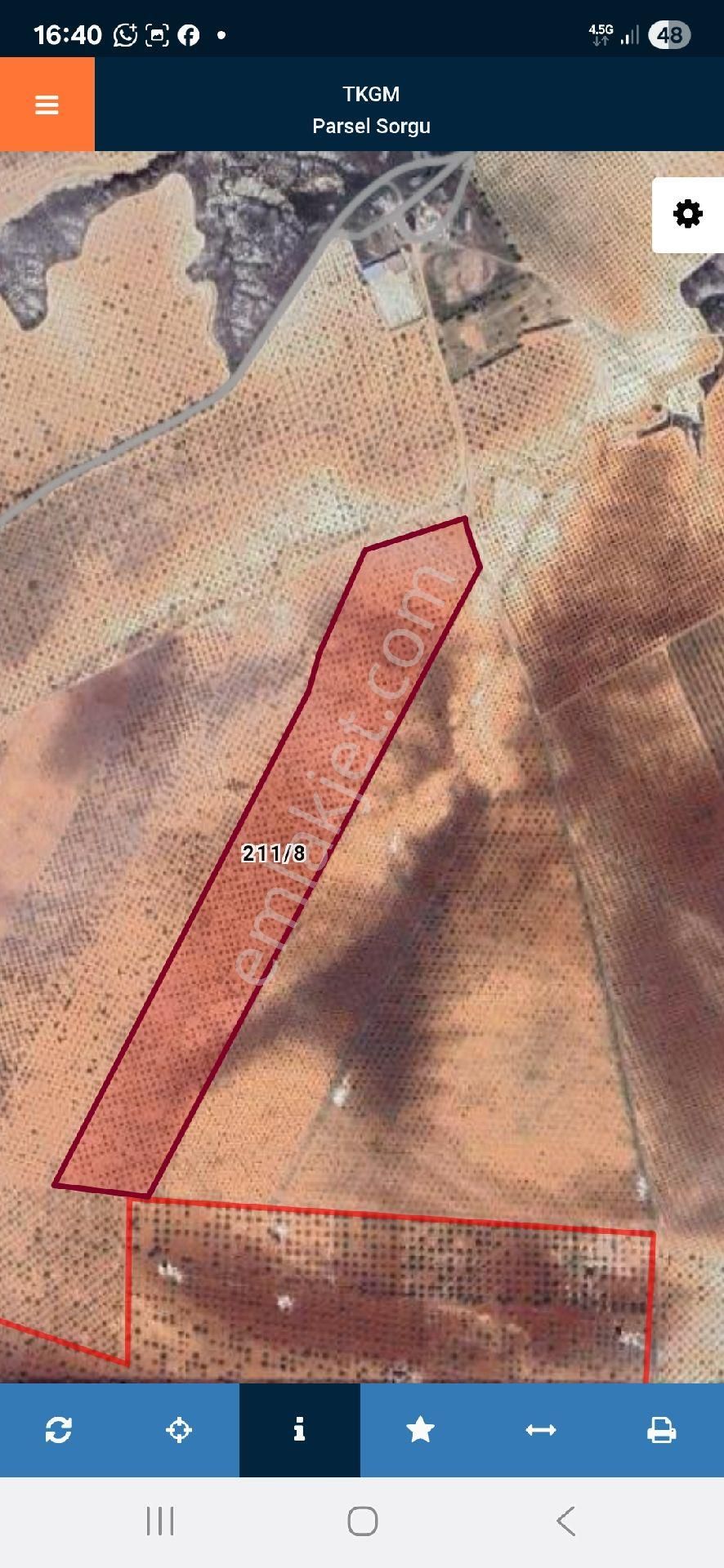 Nizip Doğrular Tek Tapu Mahsullü Fıstık Zeytin Uygun Fiyat - Görsel 2