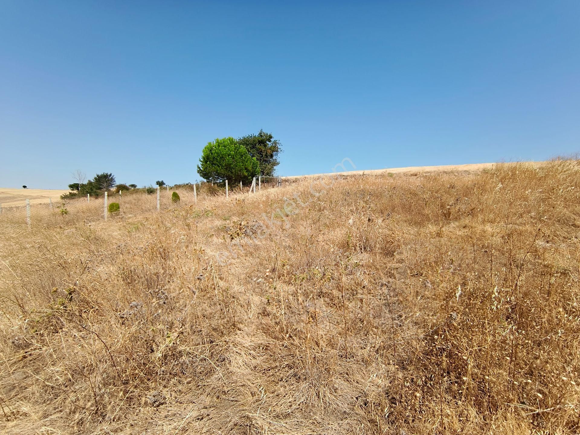 Acar Yatırımdan 240 M² % 25 İmarlı Deniz Manzaralı Arsa - Görsel 11