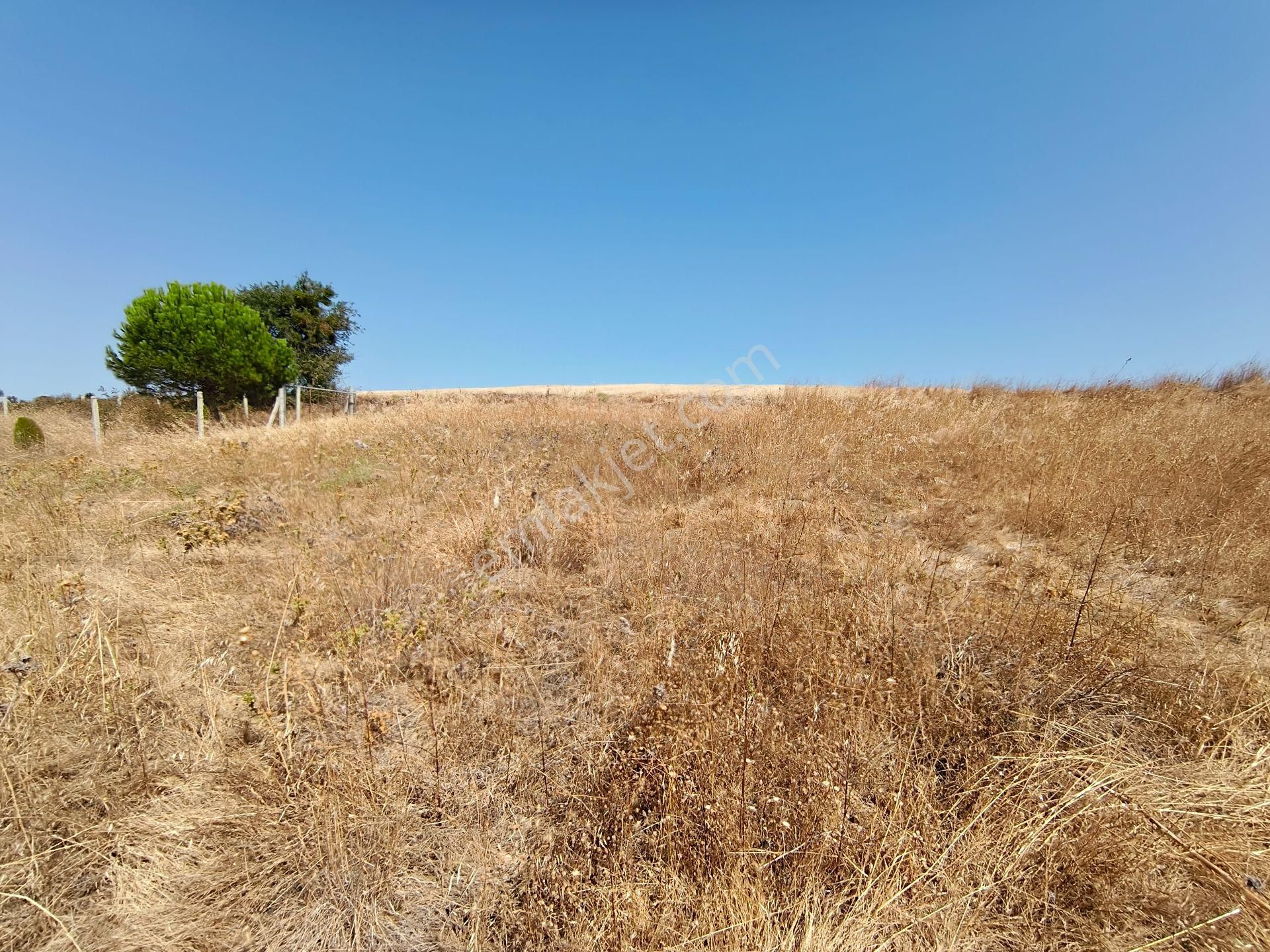 Acar Yatırımdan 240 M² % 25 İmarlı Deniz Manzaralı Arsa - Görsel 3