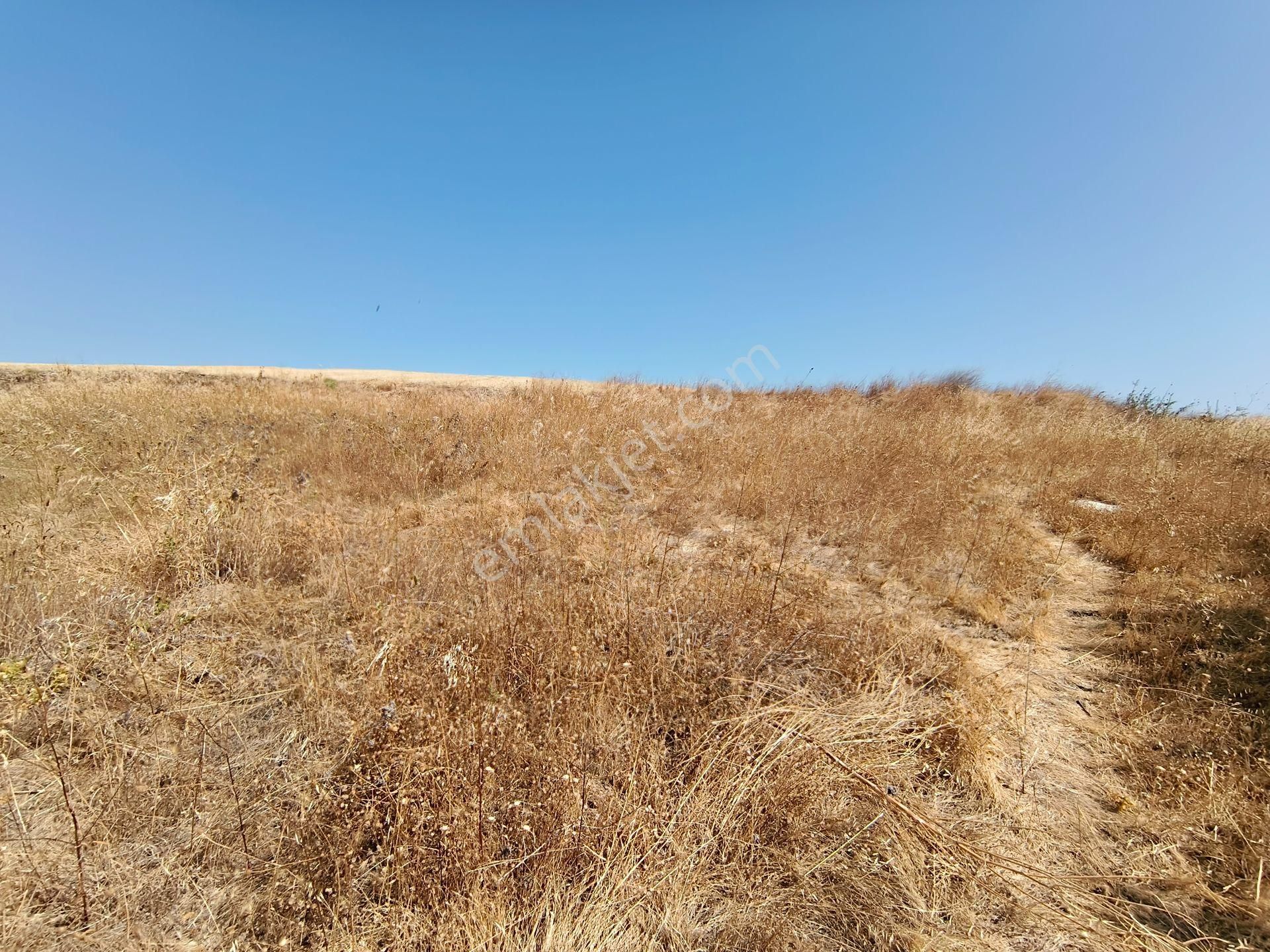 Acar Yatırımdan 240 M² % 25 İmarlı Deniz Manzaralı Arsa - Görsel 4