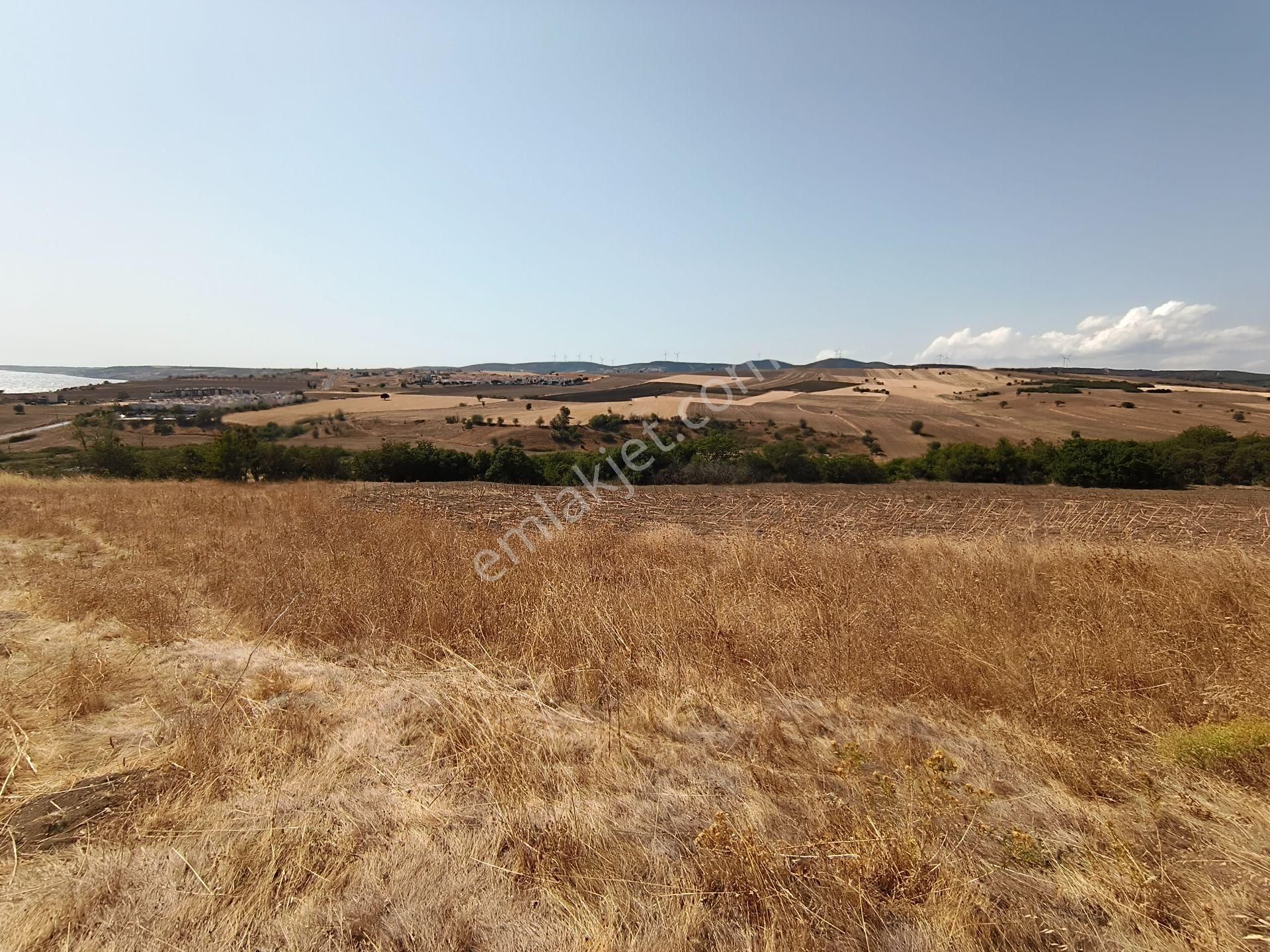 Acar Yatırımdan 240 M² % 25 İmarlı Deniz Manzaralı Arsa - Görsel 13