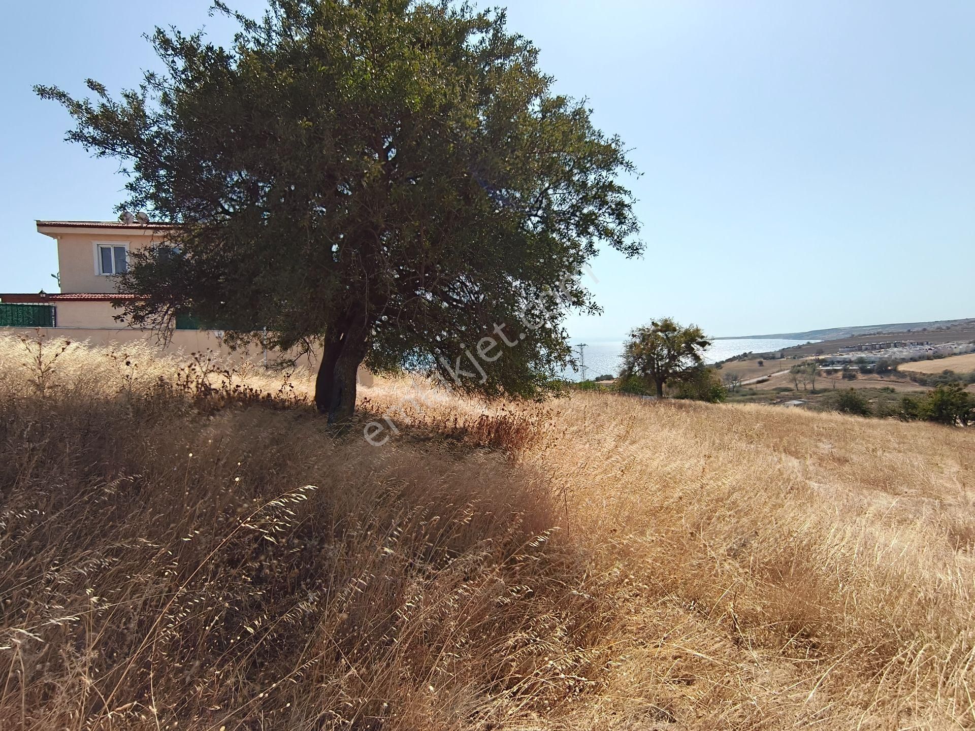 Acar Yatırımdan 240 M² % 25 İmarlı Deniz Manzaralı Arsa - Görsel 6