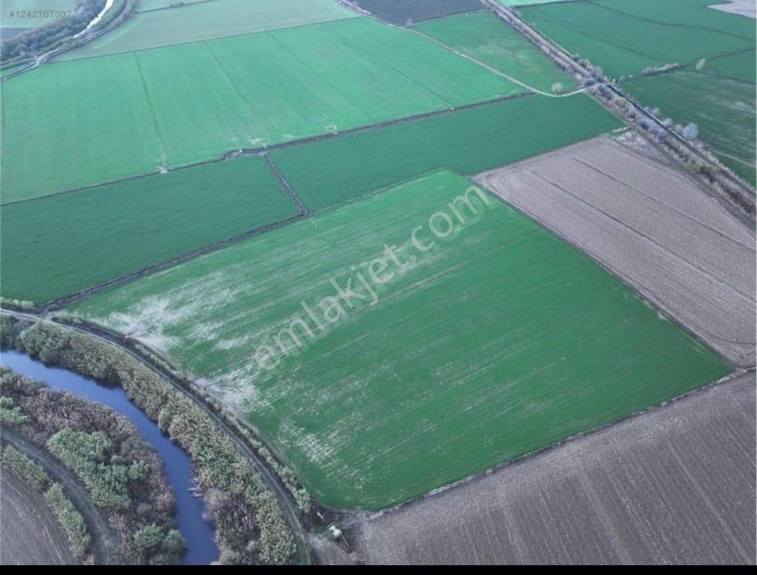 Aydın Nazilli Yöntem Emlaktan Sümer Mahallesinde Menderese Sıfır Satılık Tarla - Görsel 2