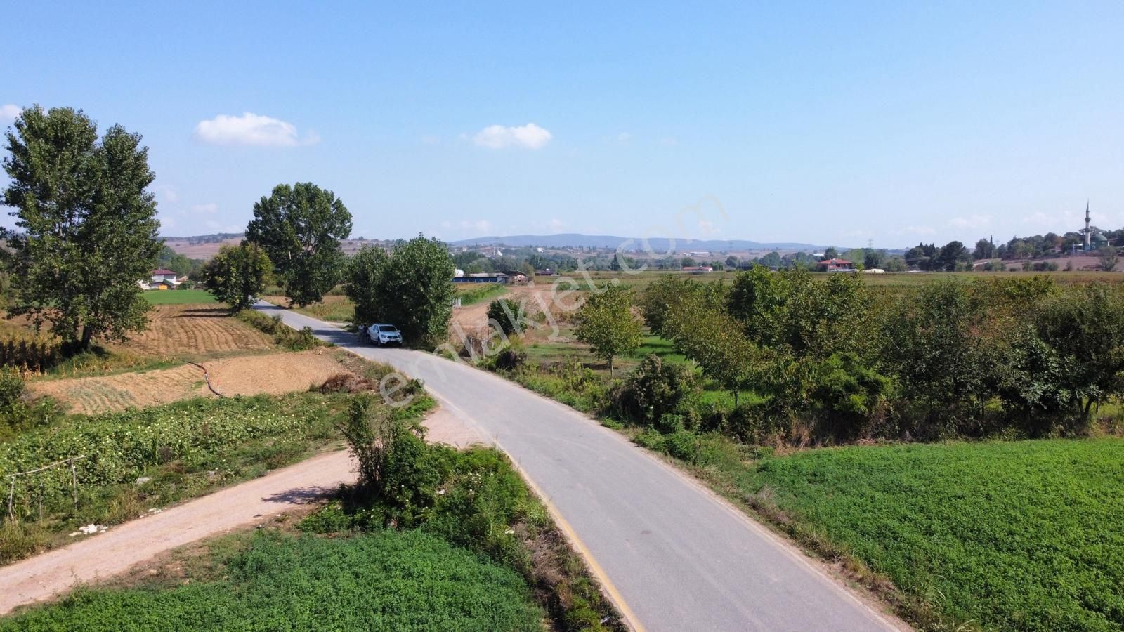 Güzel Konumda Mısır Ekili Tarla - Görsel 7