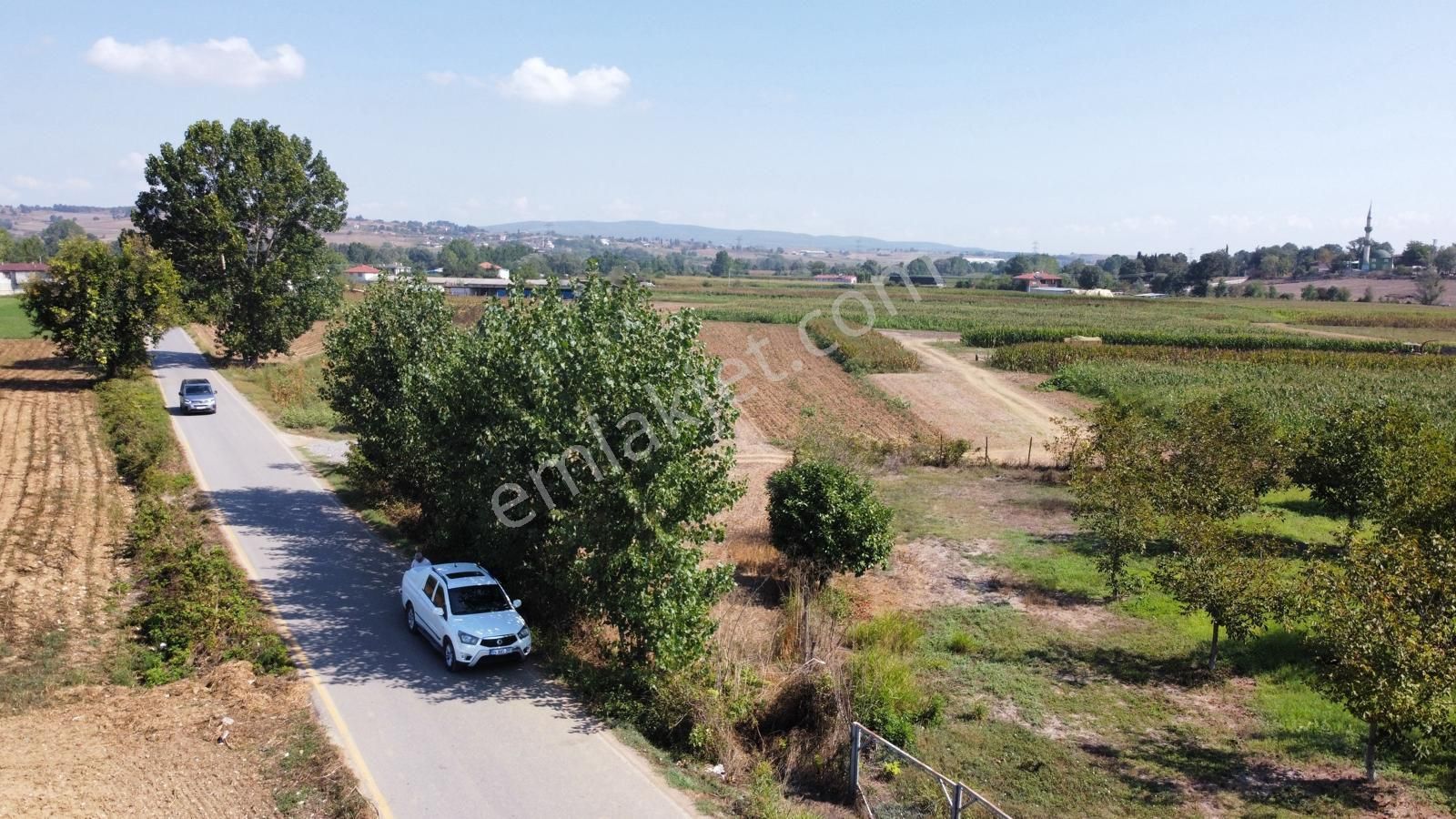 Güzel Konumda Mısır Ekili Tarla - Görsel 9