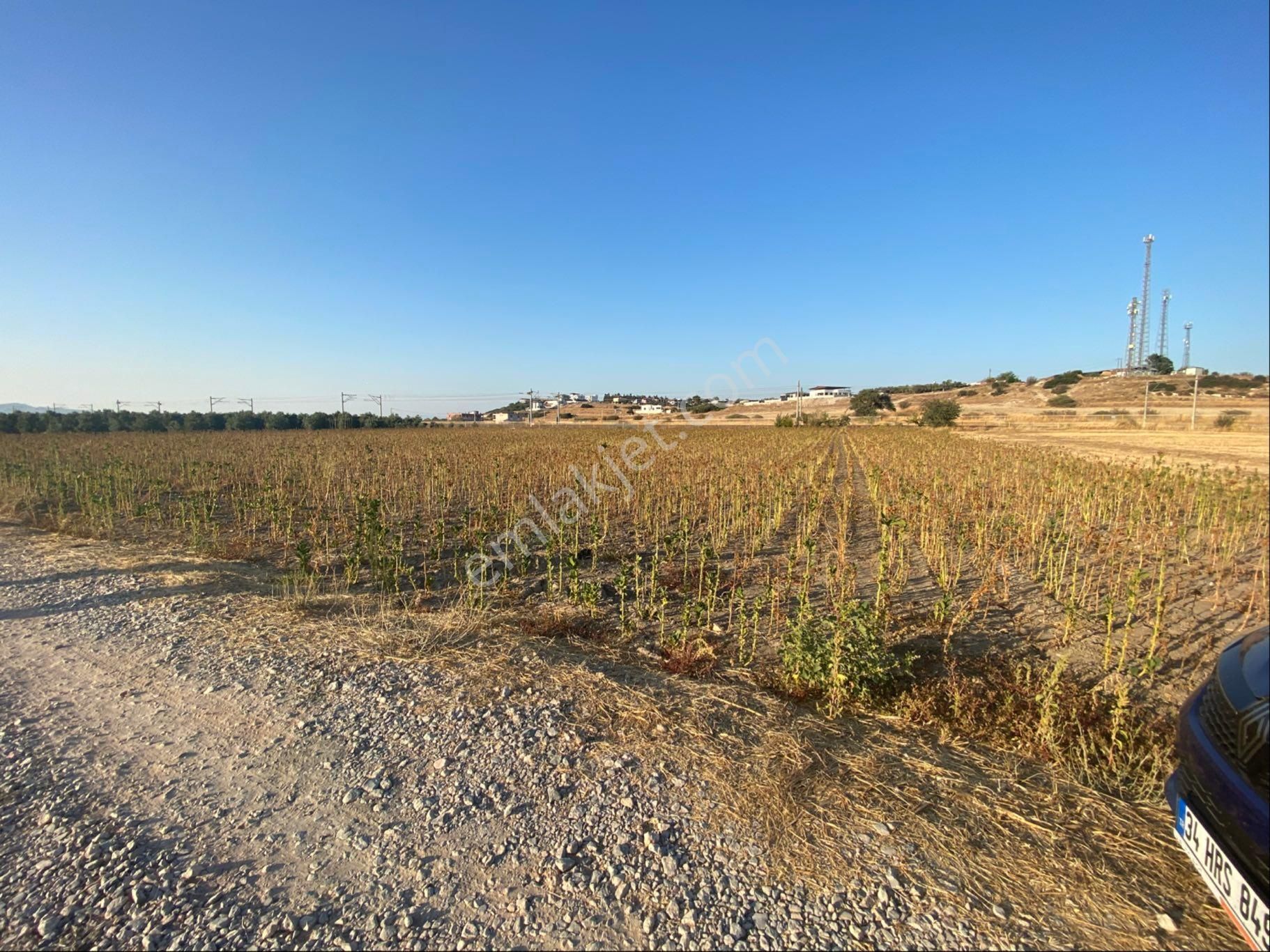 Erbaş Gayrimenkul 'den Satılık Zeytin Ağaçlı Tarla