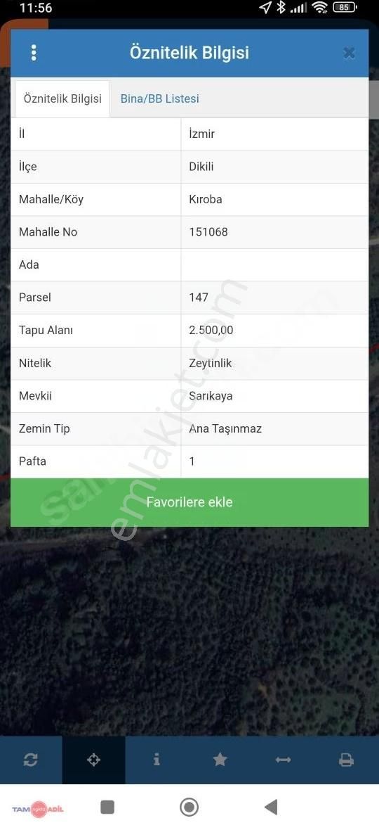 Dikili Kırobada Köy Merkezine Yakın Zeytinlik
