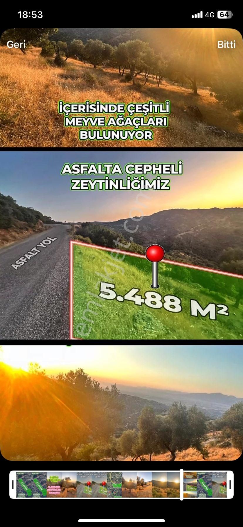 Asfalt Yola Cepheli Zeytünlik - Görsel 2