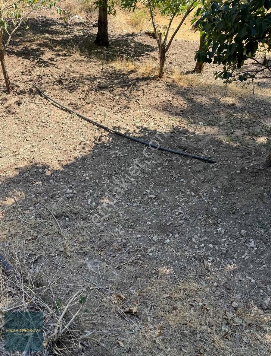 Keles Gelemiç'te Yolu Suyu Olan 468 M2 Tek Tapu Uygun Fiyatlı - Görsel 4