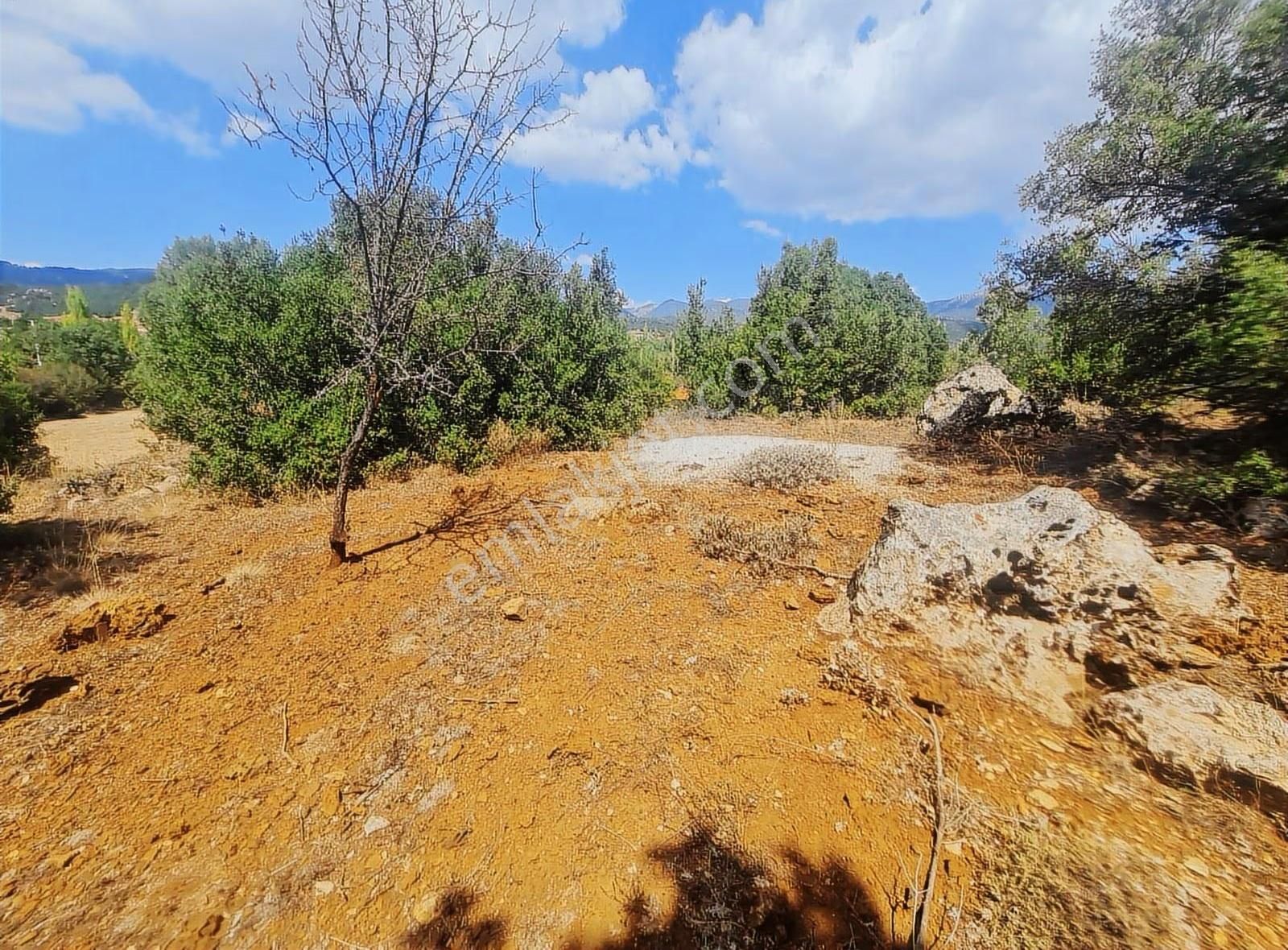 Yayla Eldirekte 685 M2 İmarlı Satılık Arsa. - Görsel 14