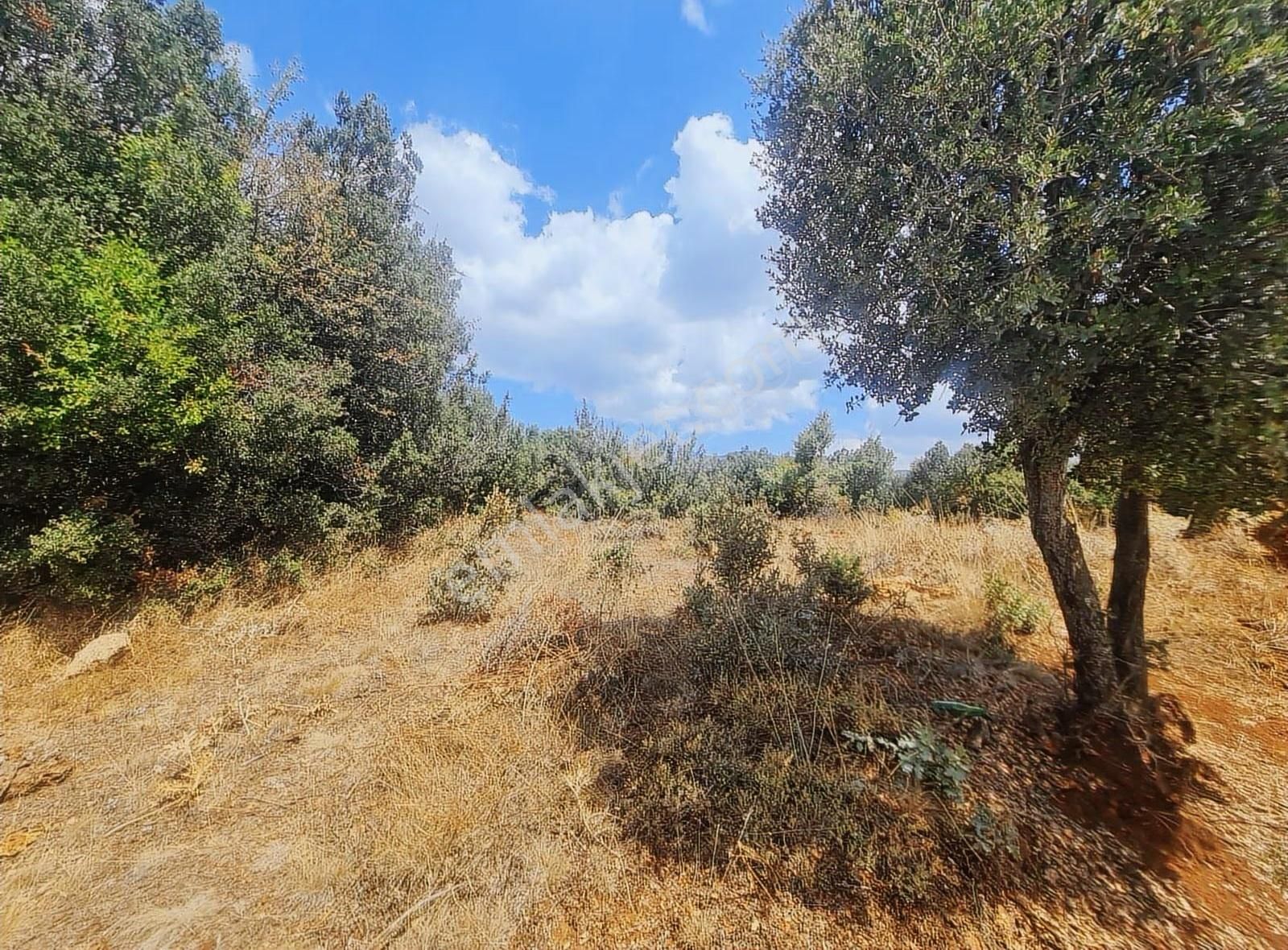 Yayla Eldirekte 685 M2 İmarlı Satılık Arsa. - Görsel 18