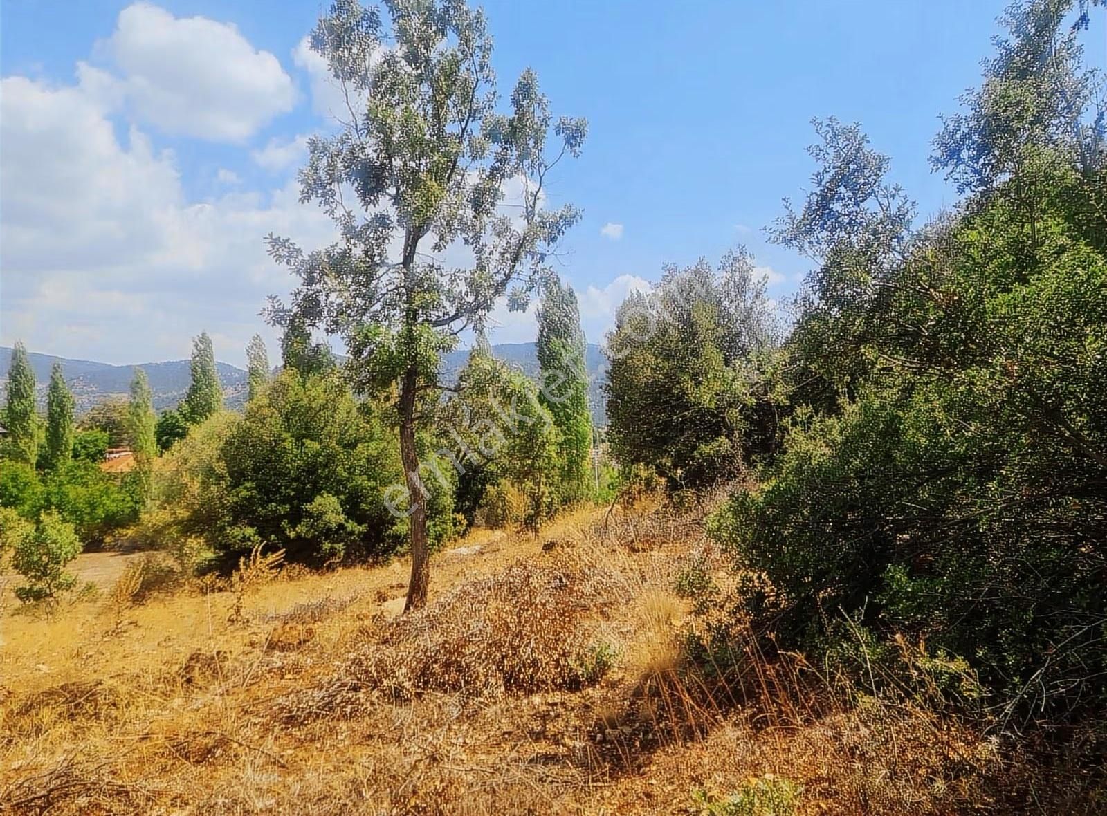 Yayla Eldirekte 685 M2 İmarlı Satılık Arsa. - Görsel 3
