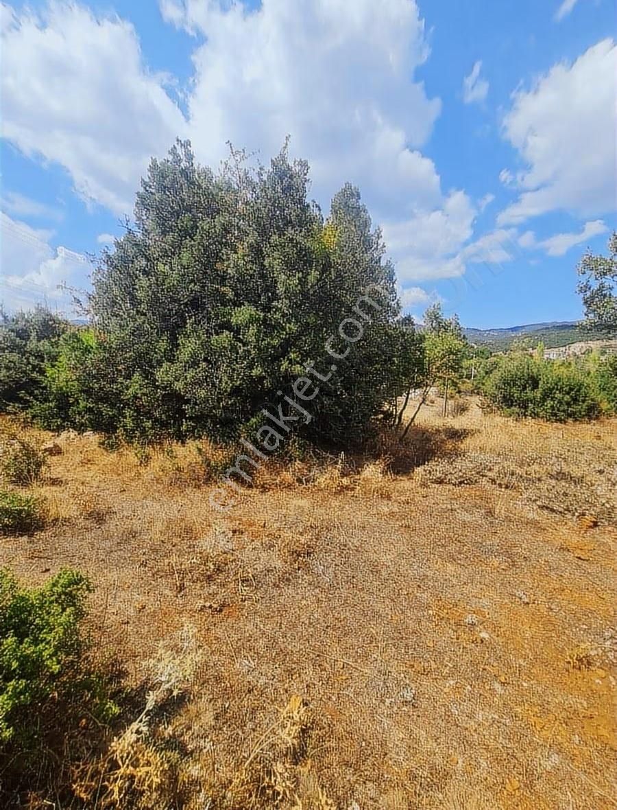 Yayla Eldirekte 685 M2 İmarlı Satılık Arsa. - Görsel 13