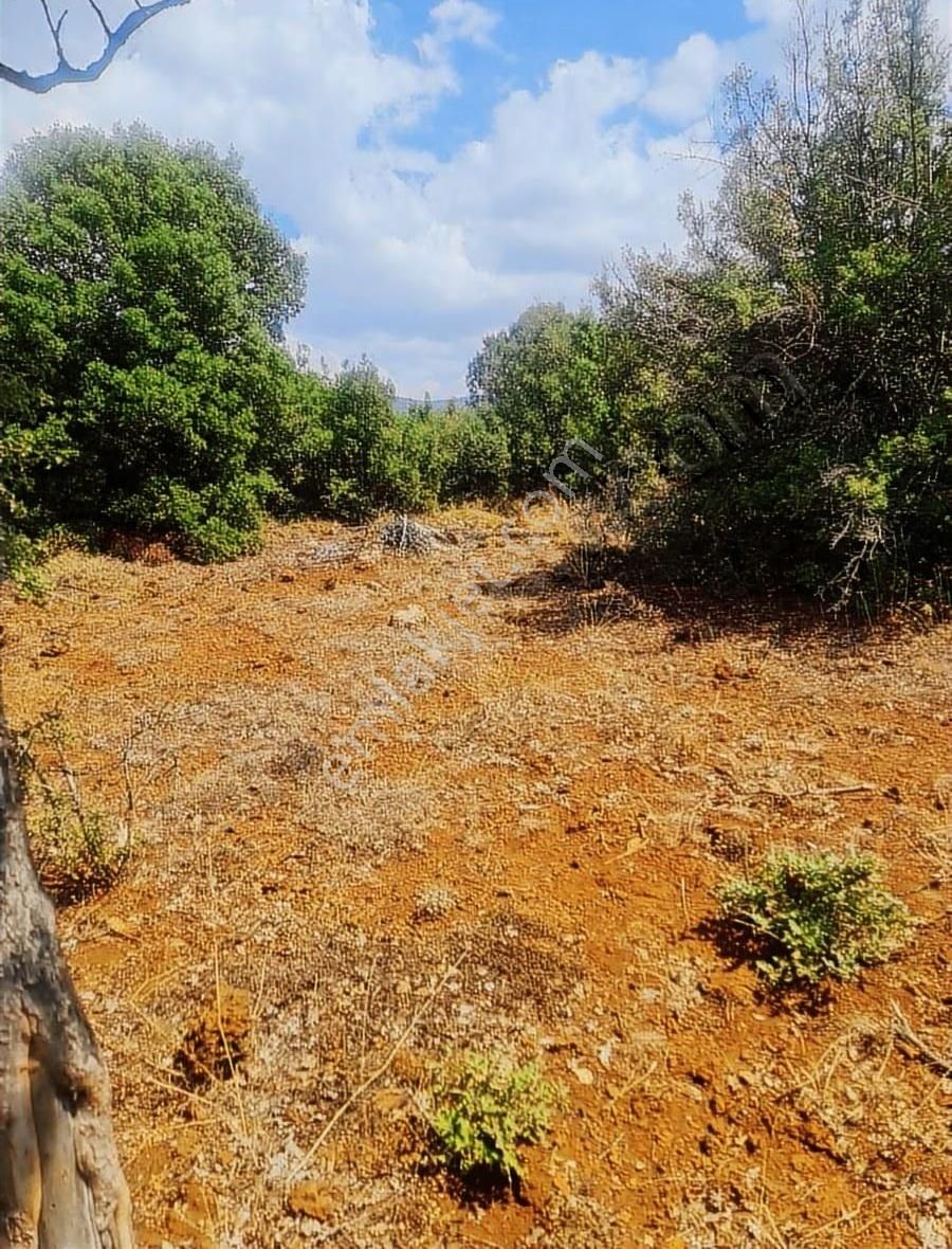 Yayla Eldirekte 685 M2 İmarlı Satılık Arsa. - Görsel 10