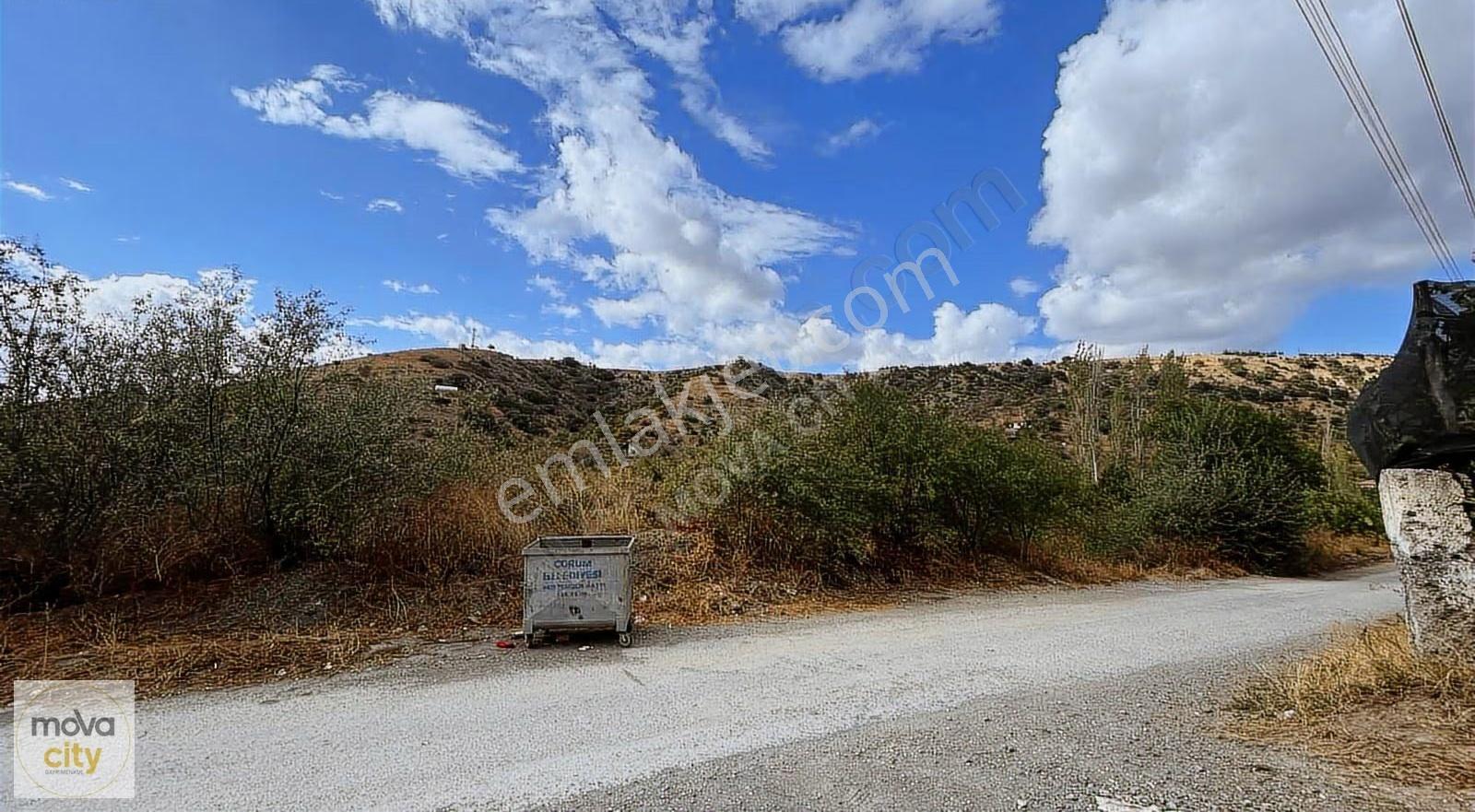 Hacıkerim Bağlarında İmara Sıfır 3.798 M2 Satılık Bağ - Görsel 3