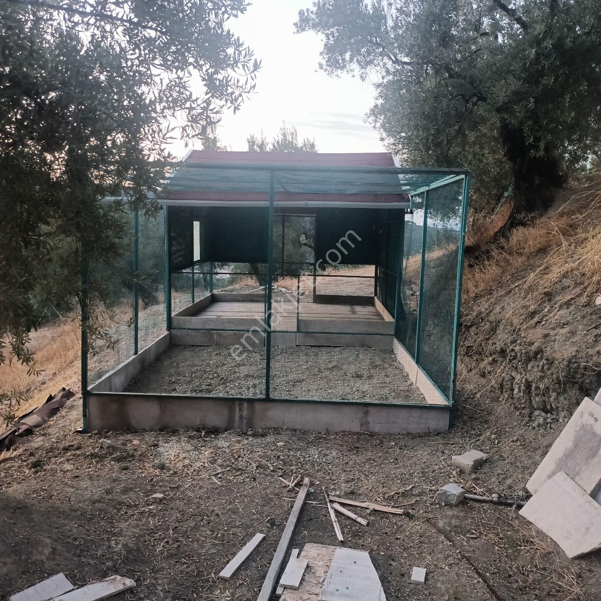 Ena Group Bursa Mudanya Ömerbey'de Deniz Manzaralı Özenle Yapılmış 3600 M2 Satılık Bağevi - Görsel 6
