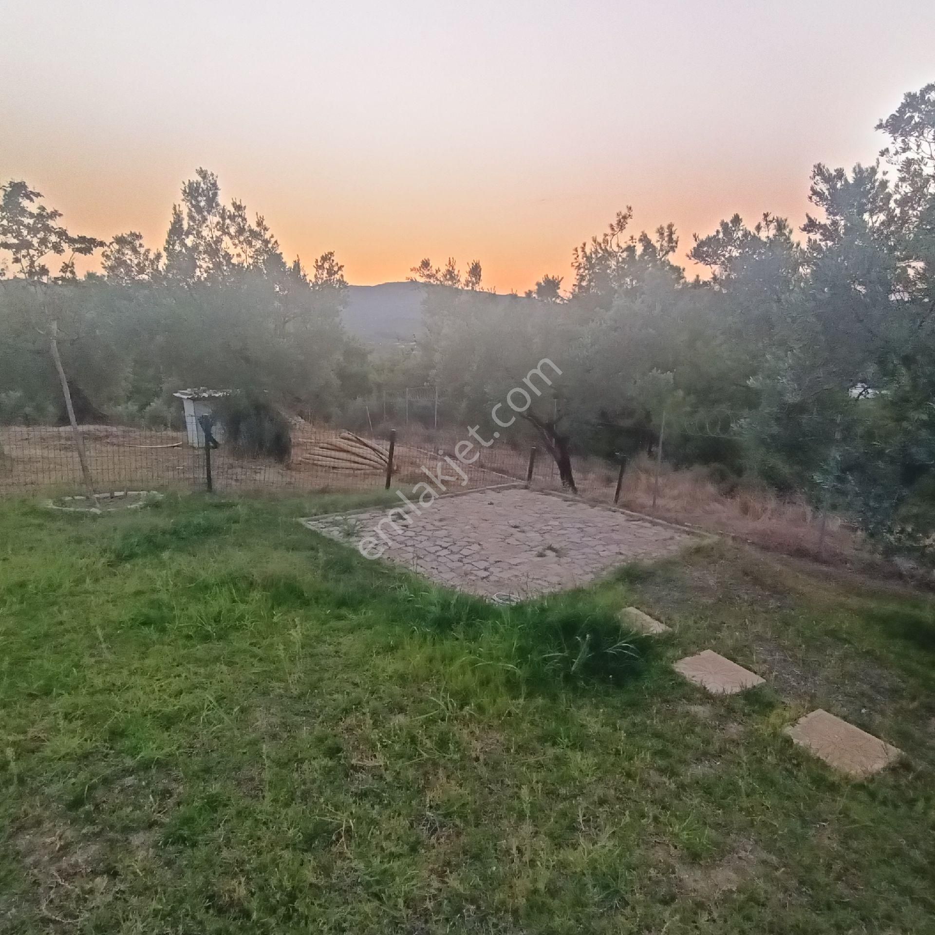 Ena Group Bursa Mudanya Ömerbey'de Deniz Manzaralı Özenle Yapılmış 3600 M2 Satılık Bağevi - Görsel 25