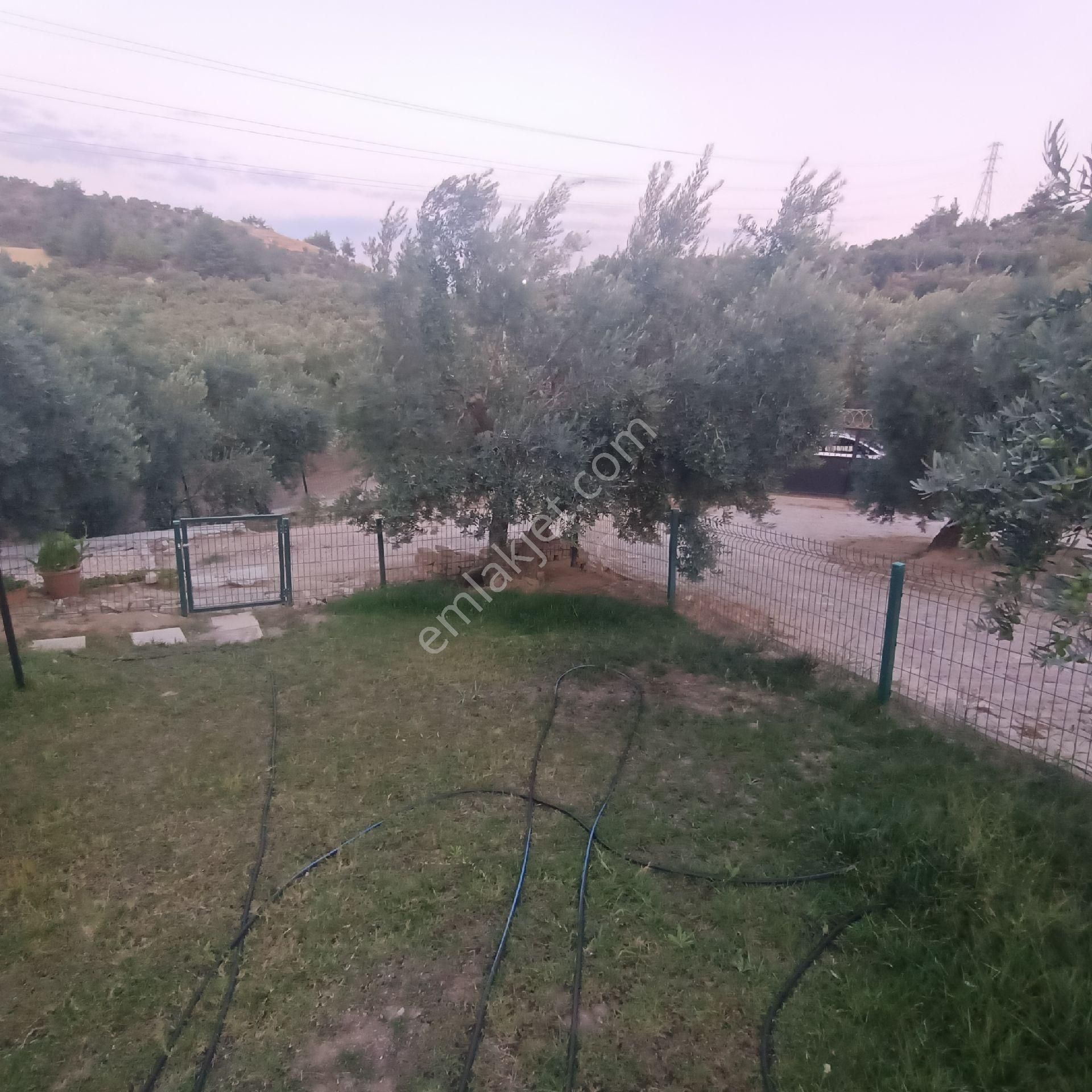 Ena Group Bursa Mudanya Ömerbey'de Deniz Manzaralı Özenle Yapılmış 3600 M2 Satılık Bağevi - Görsel 29