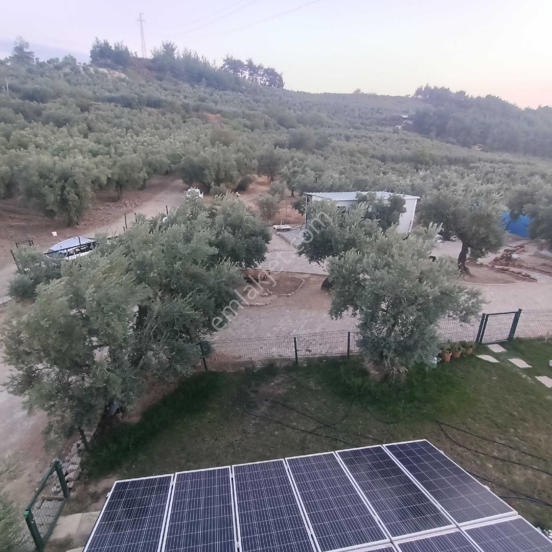 Ena Group Bursa Mudanya Ömerbey'de Deniz Manzaralı Özenle Yapılmış 3600 M2 Satılık Bağevi - Görsel 17