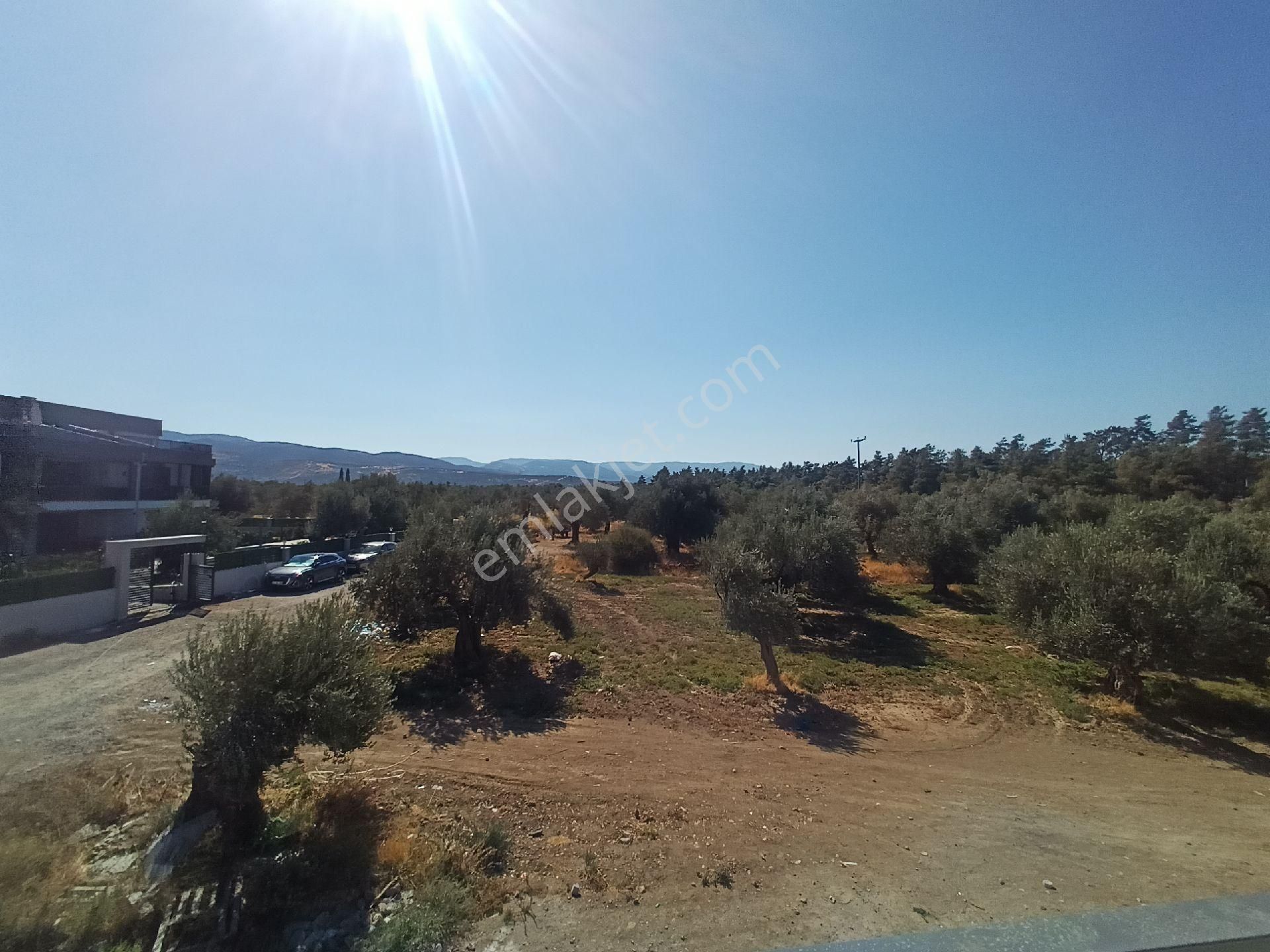 Burhaniye Yunus Mahallesi'nde Satılık Da - Görsel 27