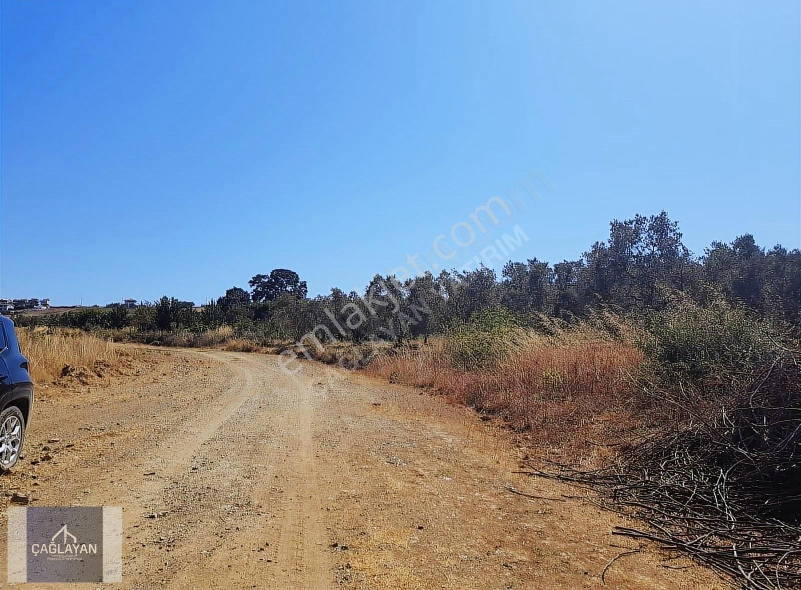 Mudanya Söğütpınar'da Deniz Manzaralı 5551 M'2 Satılık Tarla - Görsel 9