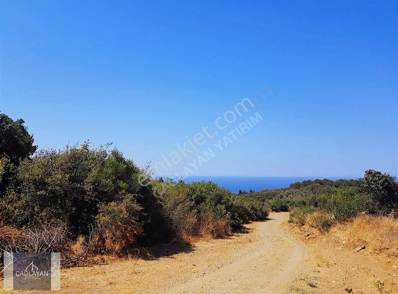 Mudanya Söğütpınar'da Deniz Manzaralı 5551 M'2 Satılık Tarla