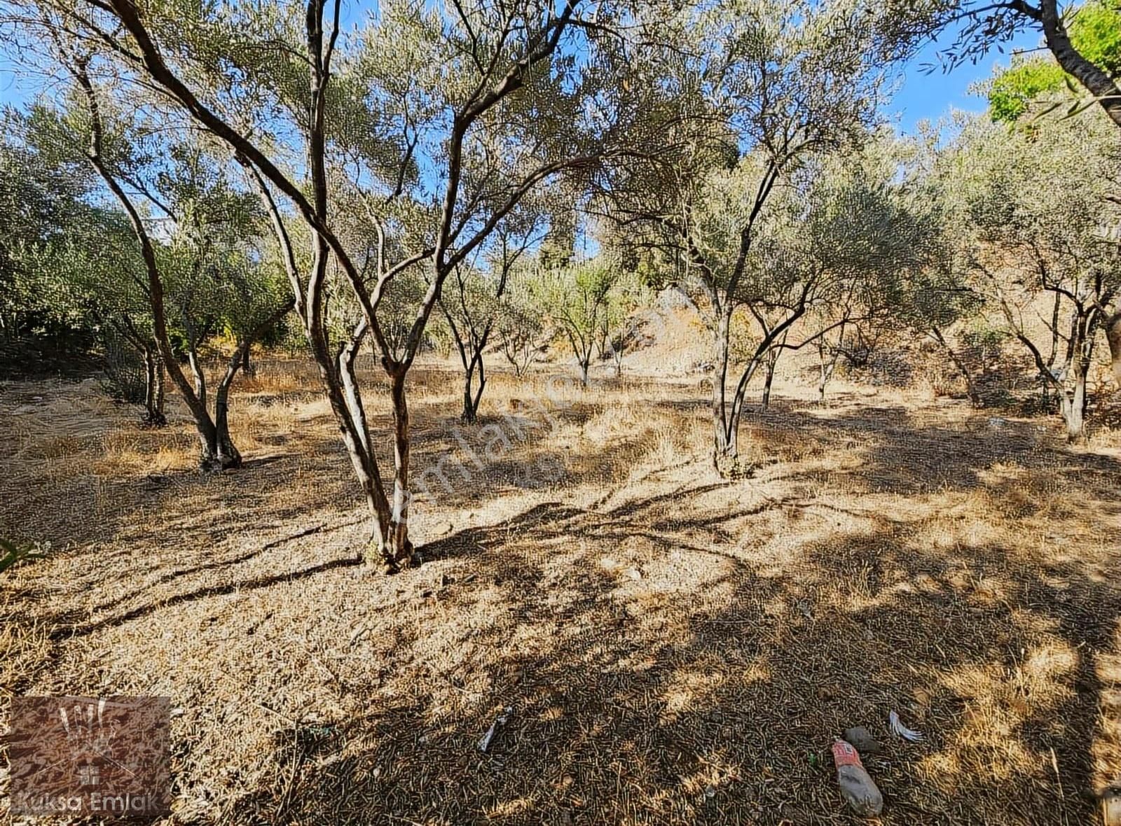 Fethiye Eldirek Mah 1080m2 Tarla - Görsel 5