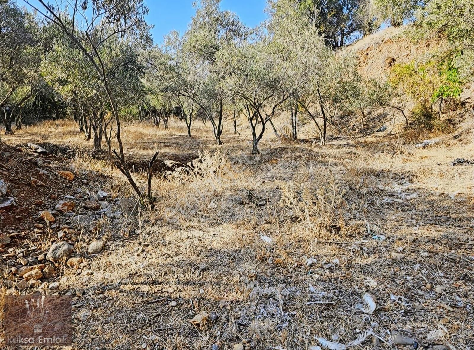 Fethiye Eldirek Mah 1080m2 Tarla - Görsel 3