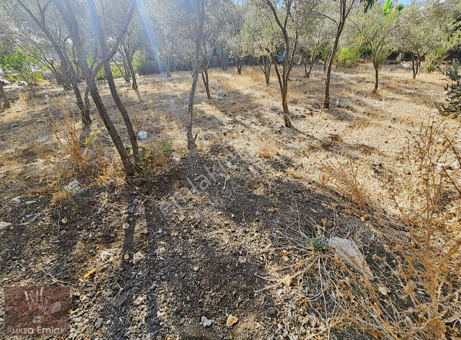 Fethiye Eldirek Mah 1080m2 Tarla - Görsel 8