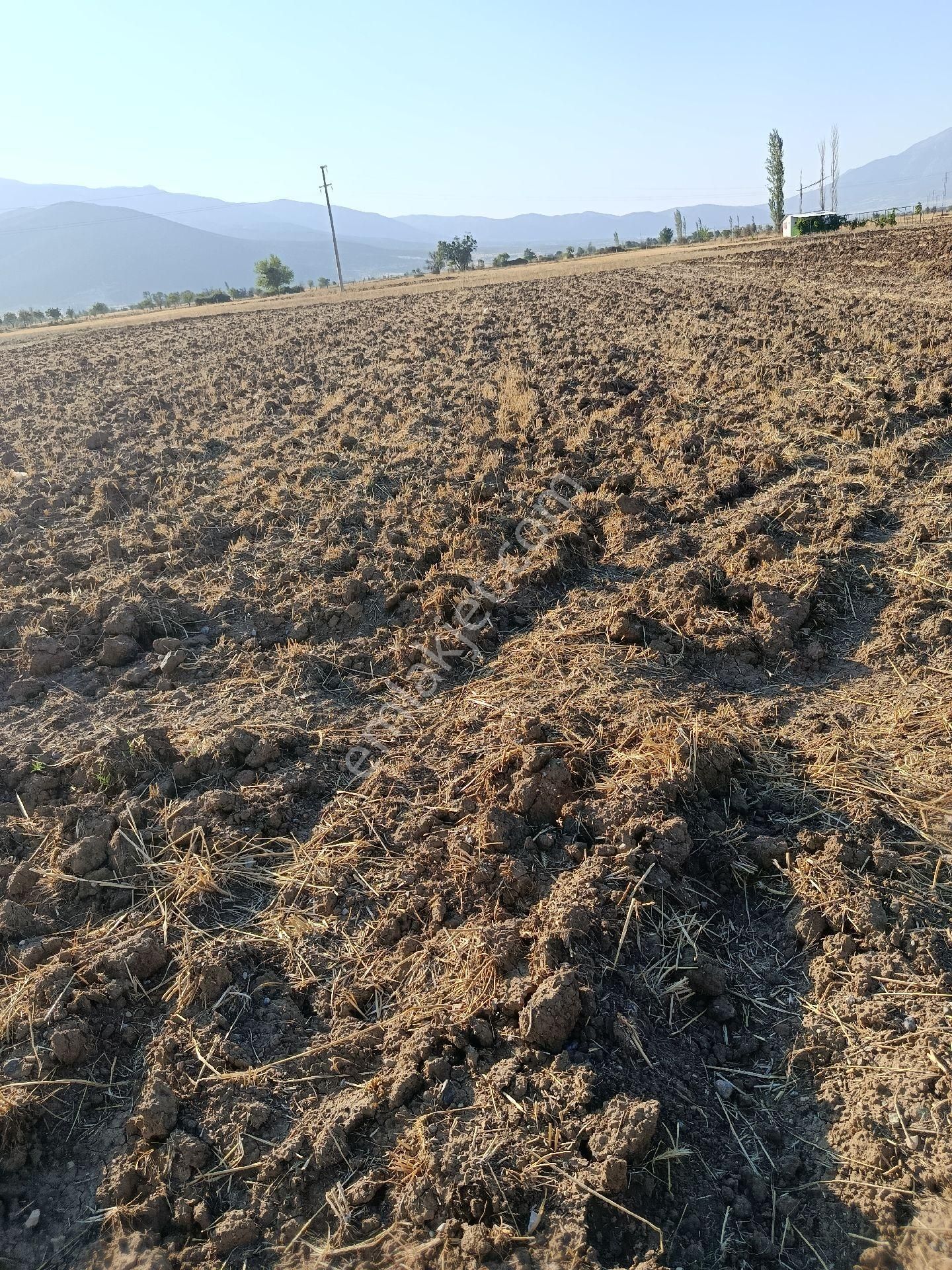Atabey'den Acıpayam Kırca'da Satılık Bahçelik Tarla - Görsel 30