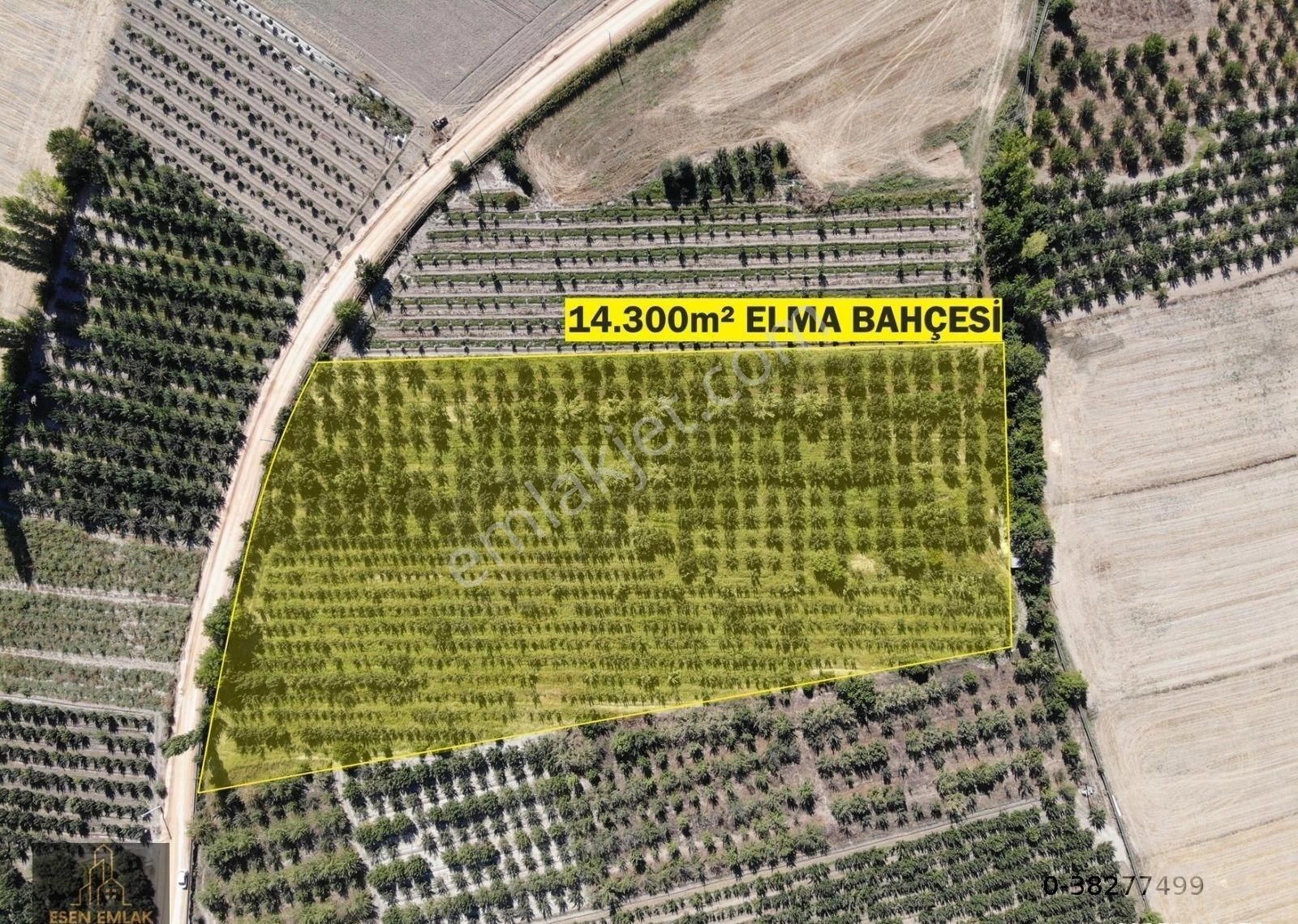 Elmalı Merkeze Yakın Lokasyonda Satılık 14.300m² Yetişkin Elma Bahçesi - Görsel 7