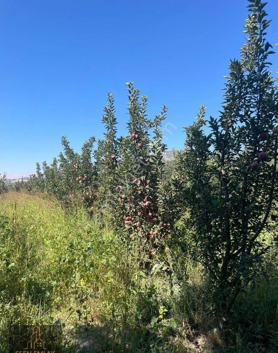 Elmalı Merkeze Yakın Lokasyonda Satılık 14.300m² Yetişkin Elma Bahçesi - Görsel 10