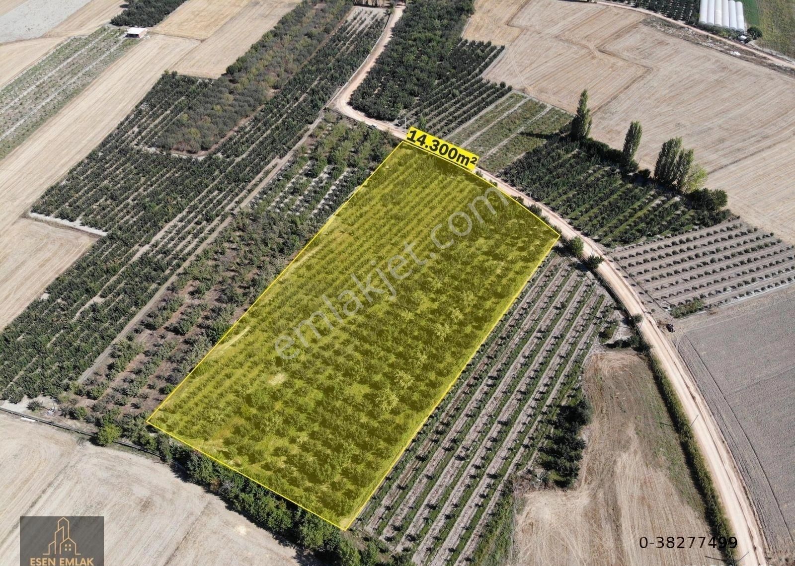 Elmalı Merkeze Yakın Lokasyonda Satılık 14.300m² Yetişkin Elma Bahçesi - Görsel 8