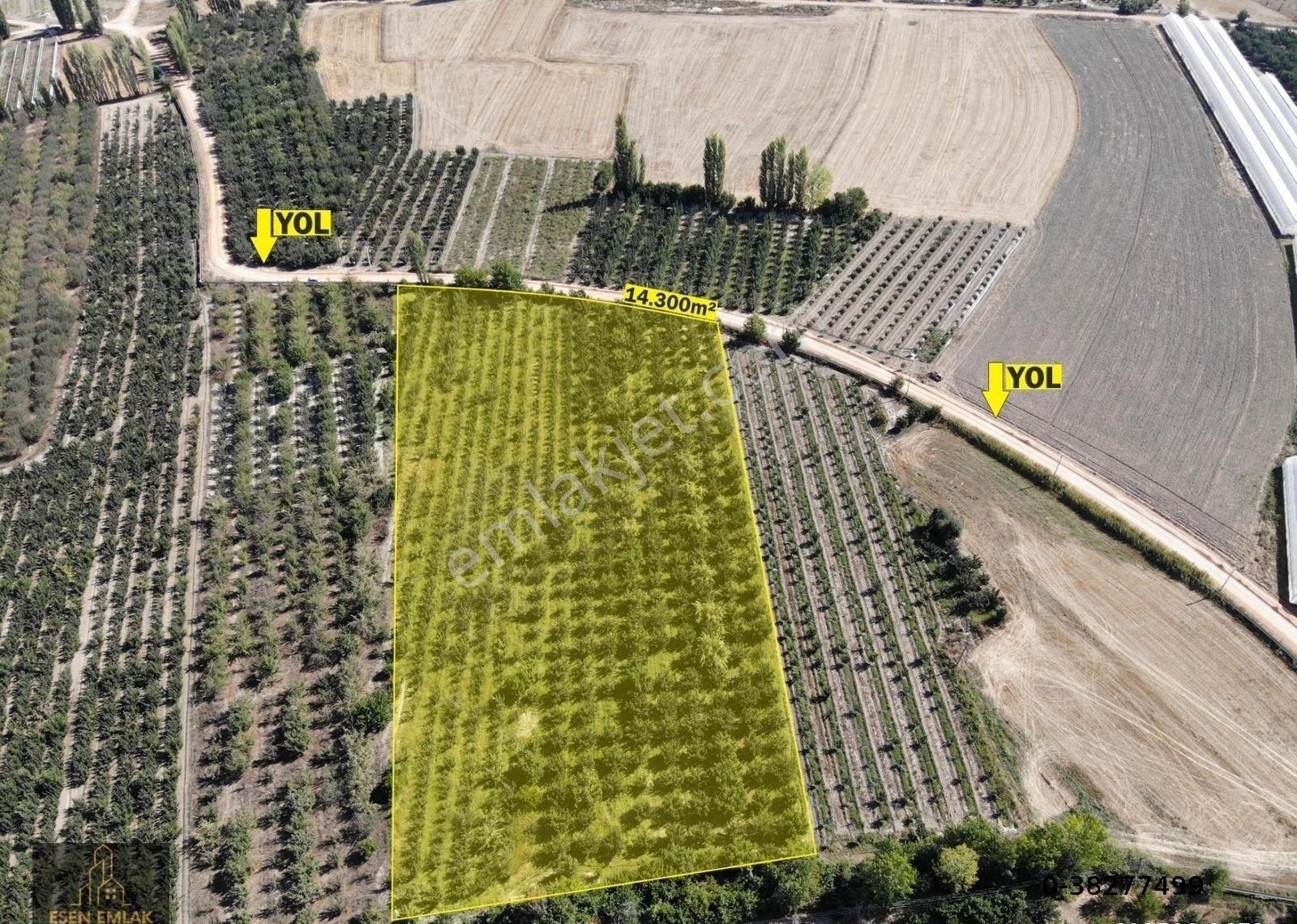 Elmalı Merkeze Yakın Lokasyonda Satılık 14.300m² Yetişkin Elma Bahçesi - Görsel 5