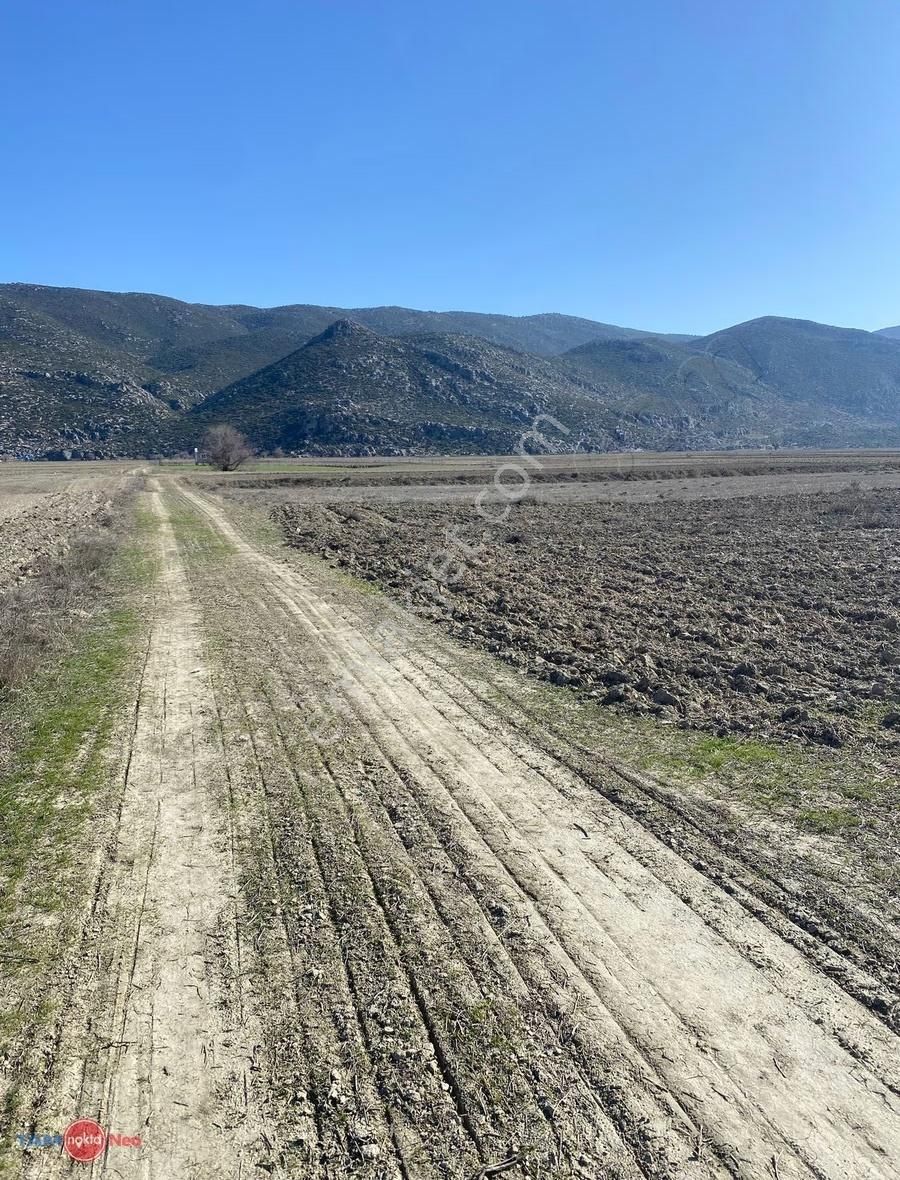 Korkuteli Çaykenarı Mah. 2215 M2 Hisseli Tarla - Görsel 3