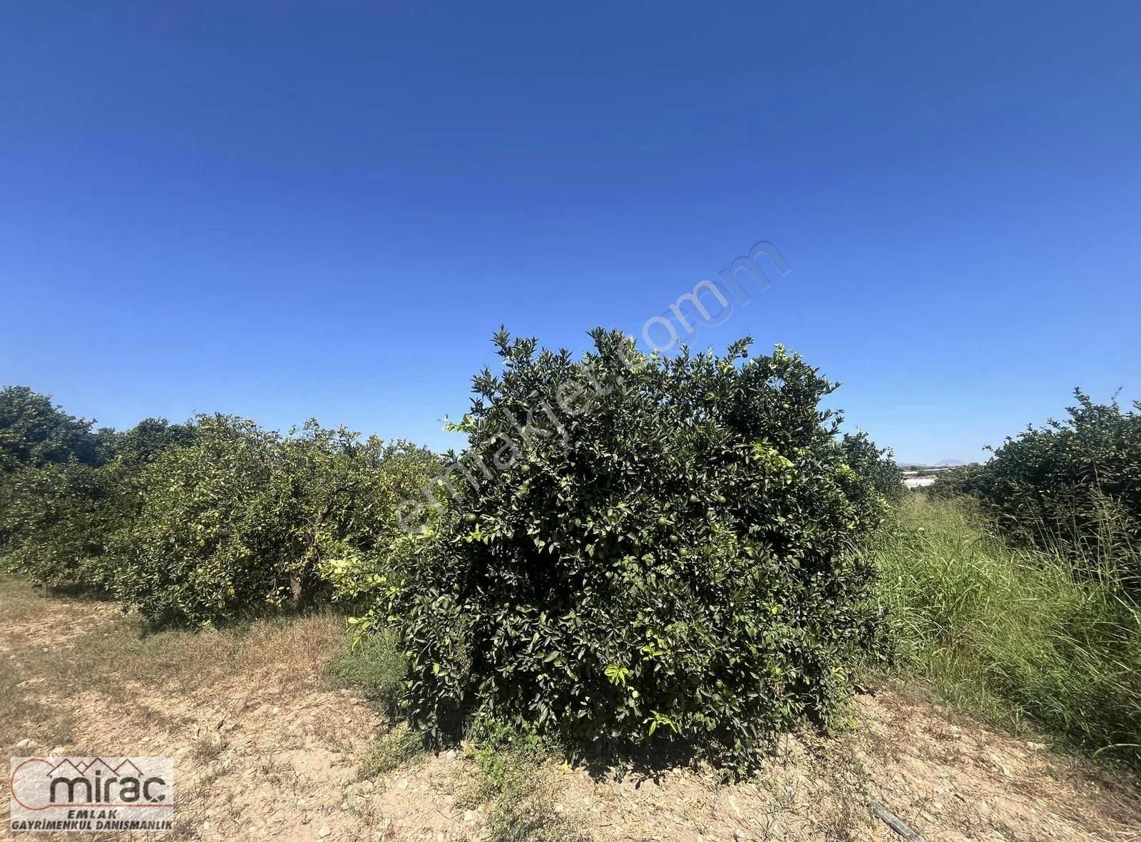 Şişeler Köyünde Yeni Açılacak Karayoluna Sıfır Yatırımlık Tarla - Görsel 9