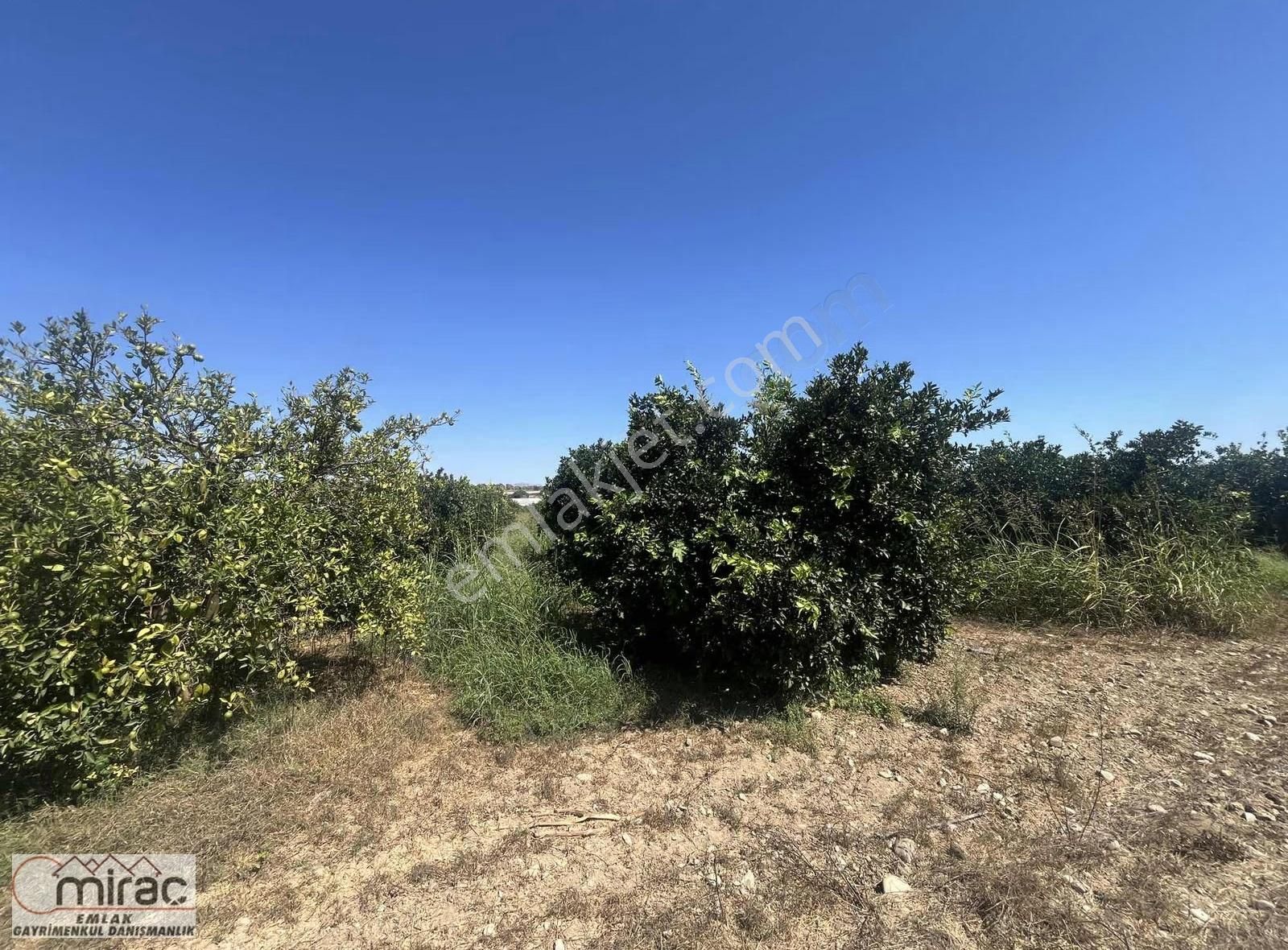 Şişeler Köyünde Yeni Açılacak Karayoluna Sıfır Yatırımlık Tarla - Görsel 8