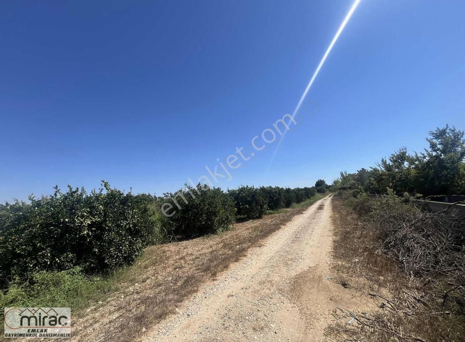 Şişeler Köyünde Yeni Açılacak Karayoluna Sıfır Yatırımlık Tarla - Görsel 5