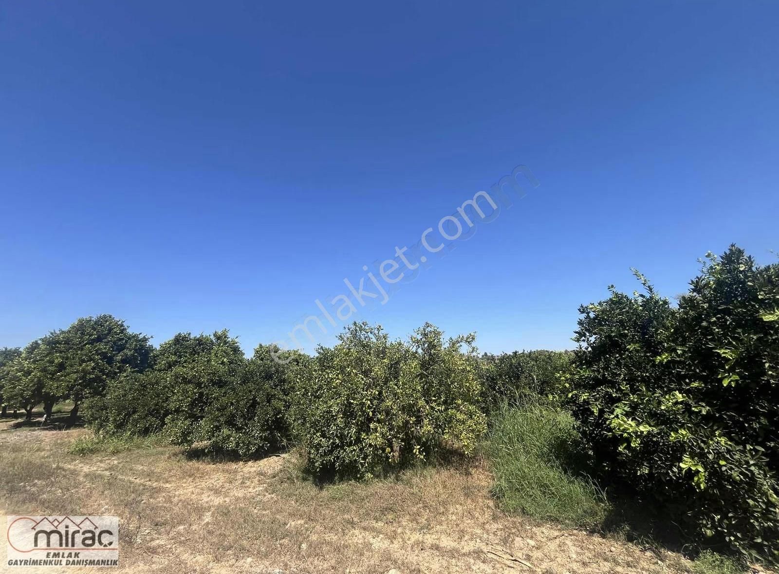 Şişeler Köyünde Yeni Açılacak Karayoluna Sıfır Yatırımlık Tarla - Görsel 2