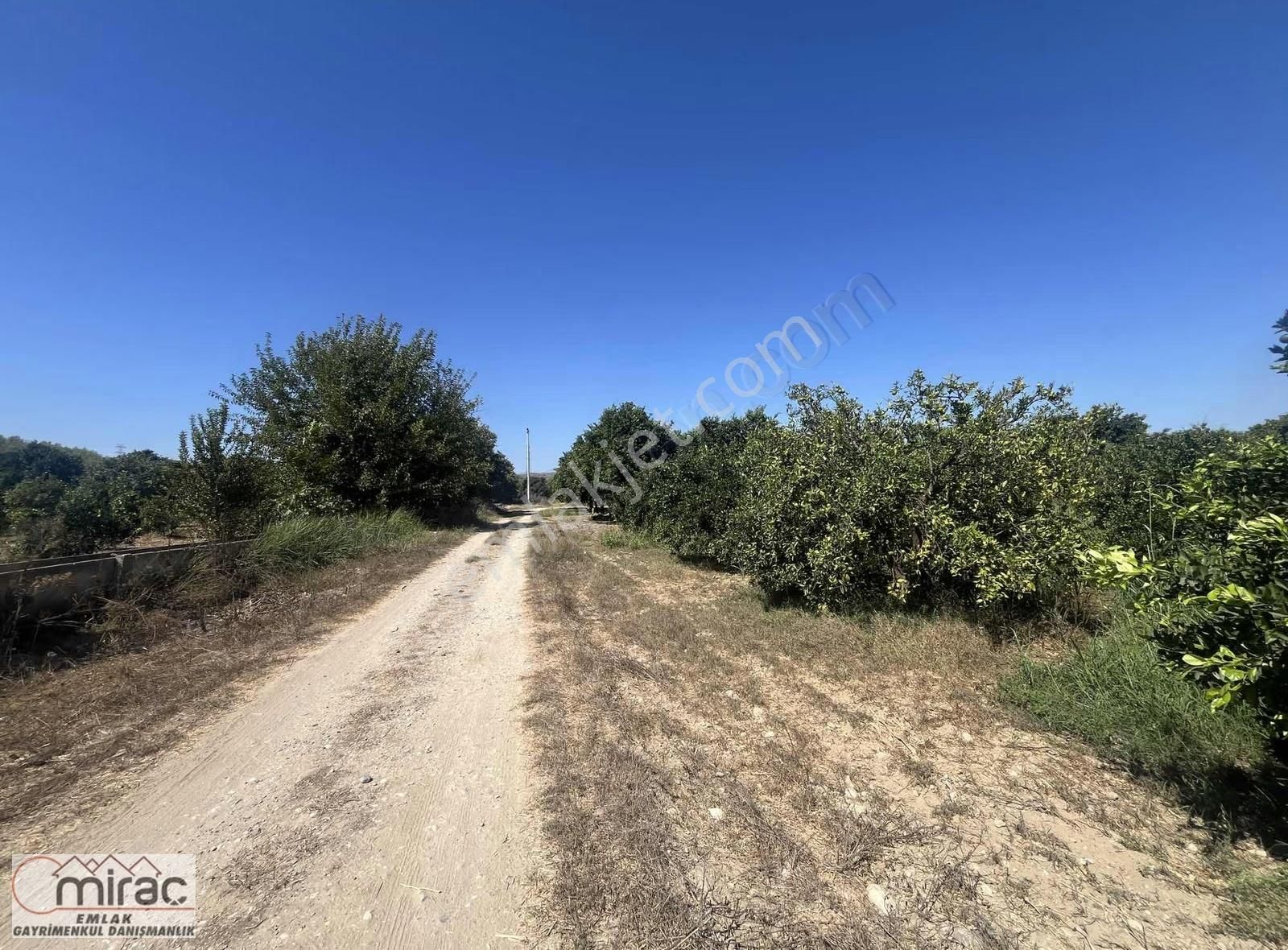 Şişeler Köyünde Yeni Açılacak Karayoluna Sıfır Yatırımlık Tarla - Görsel 11