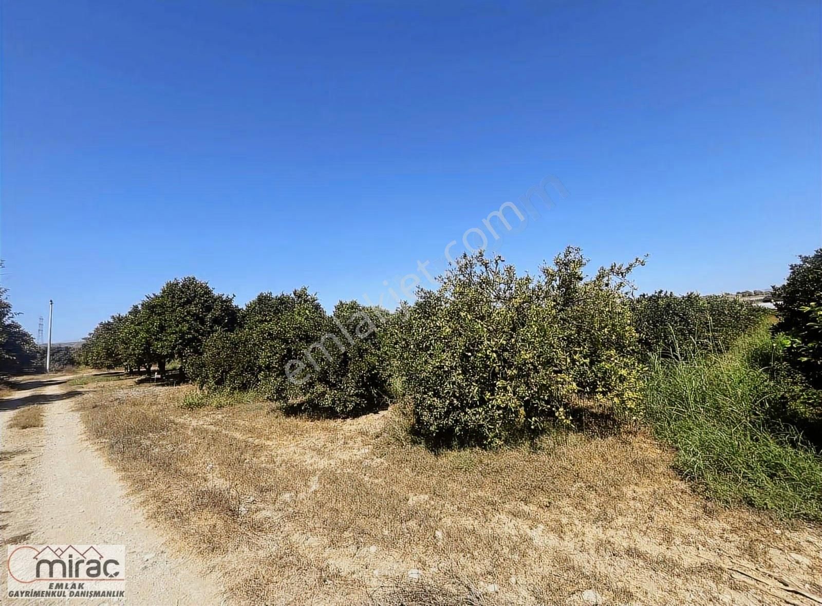 Şişeler Köyünde Yeni Açılacak Karayoluna Sıfır Yatırımlık Tarla - Görsel 6