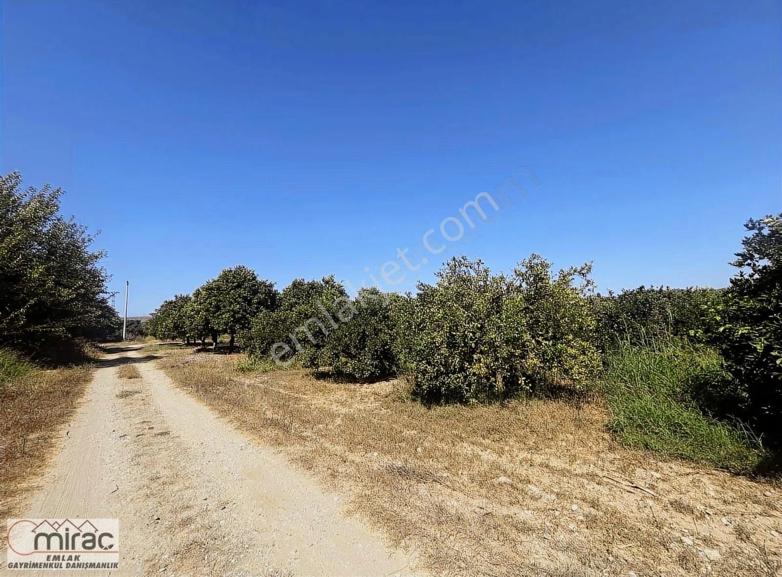 Şişeler Köyünde Yeni Açılacak Karayoluna Sıfır Yatırımlık Tarla - Görsel 4