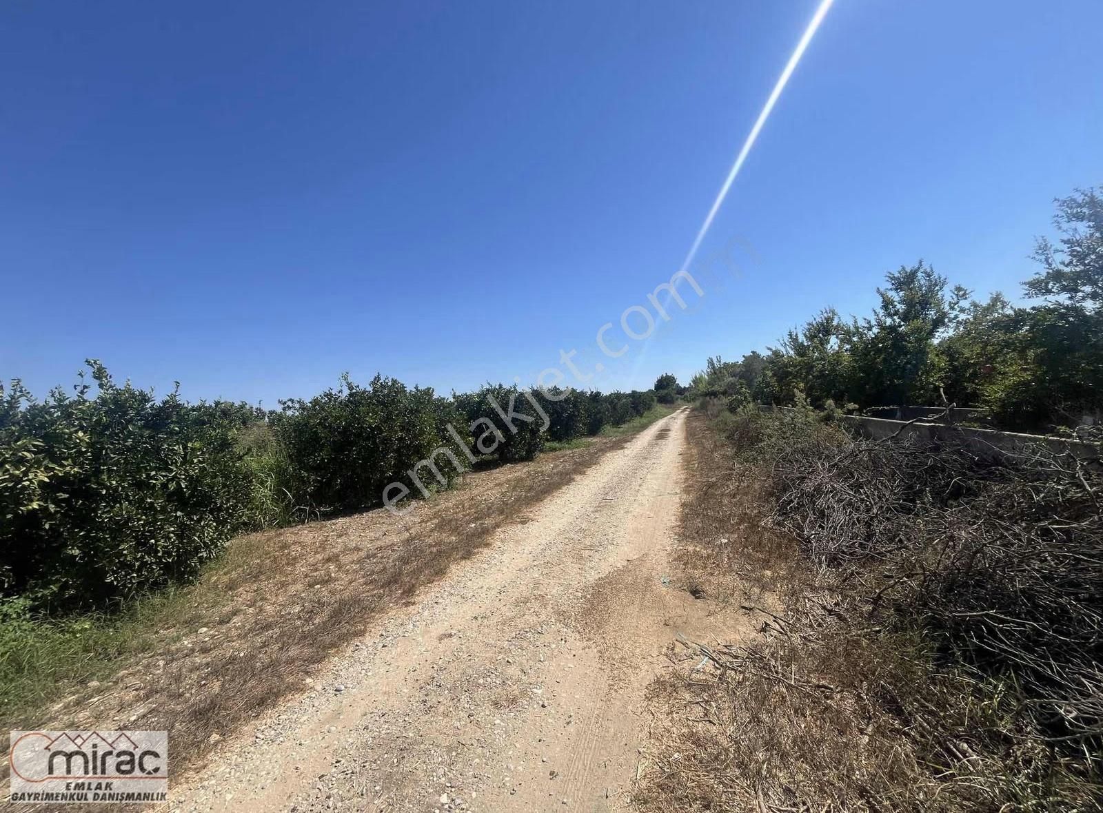 Şişeler Köyünde Yeni Açılacak Karayoluna Sıfır Yatırımlık Tarla - Görsel 3