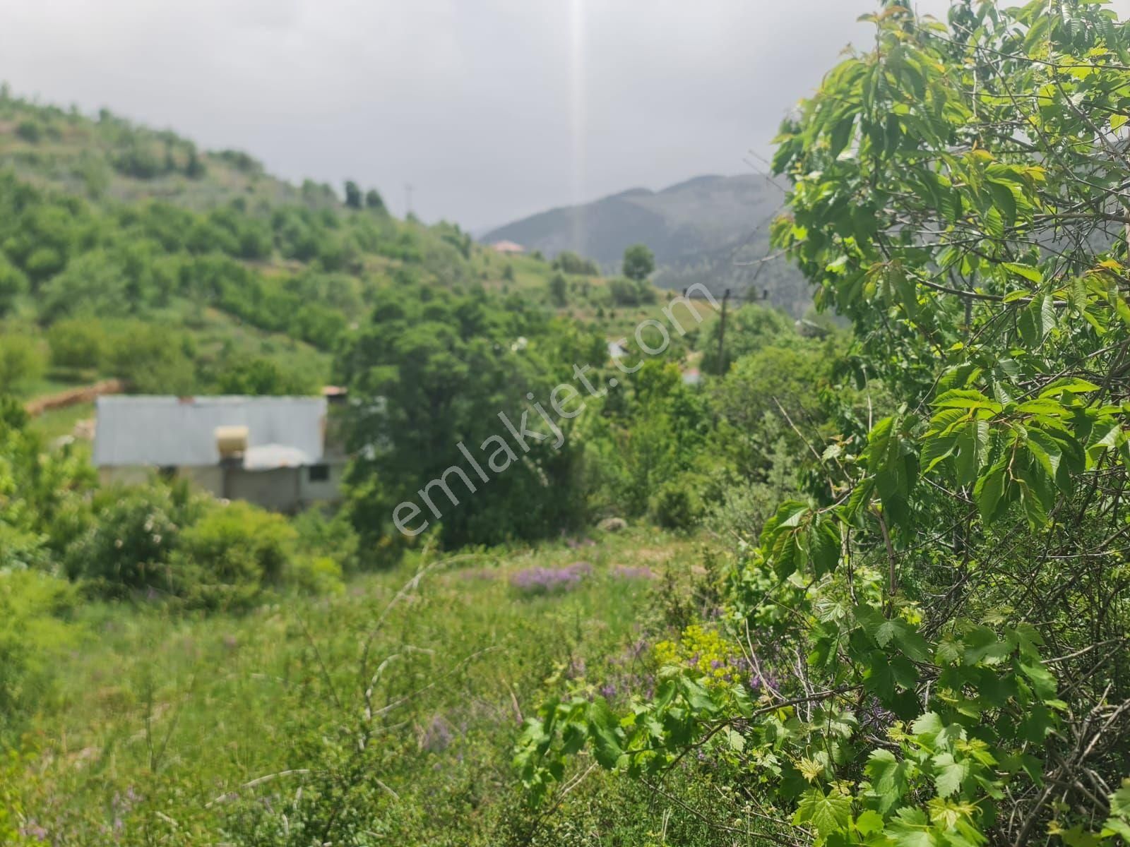 Çayarası Yaylasına 2500 M Mesafe 300 M ² - Görsel 7