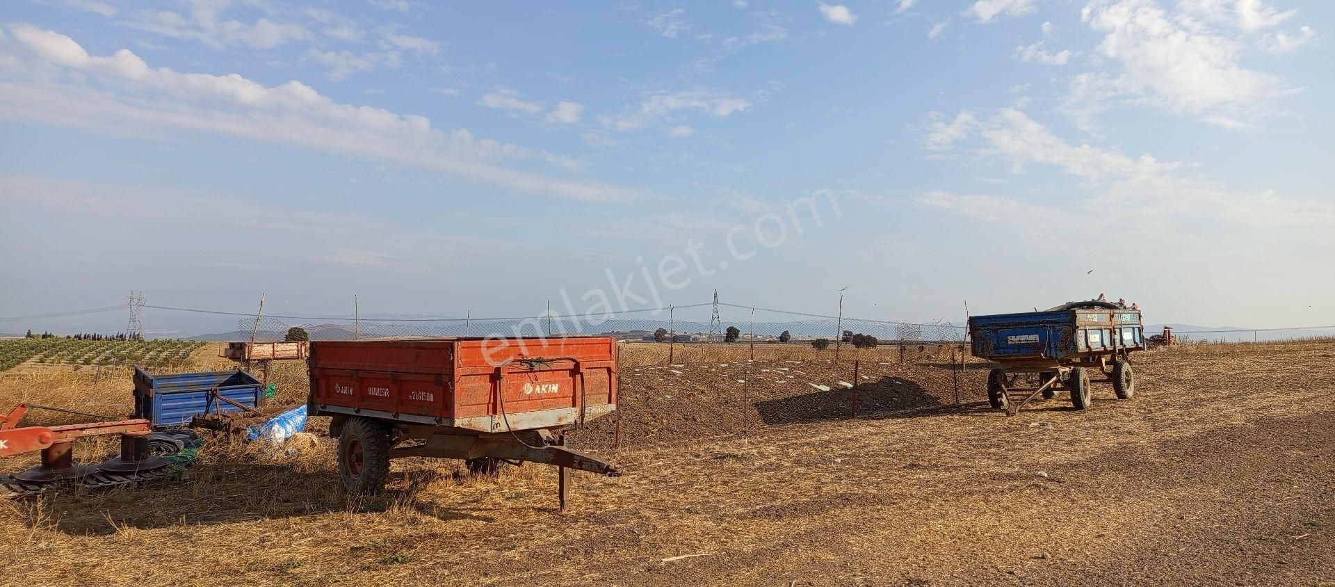 Bursa Karacabey Muratlı Mahallesi Satılık 3.500 Mt2 Hisseli Tarla - Görsel 10