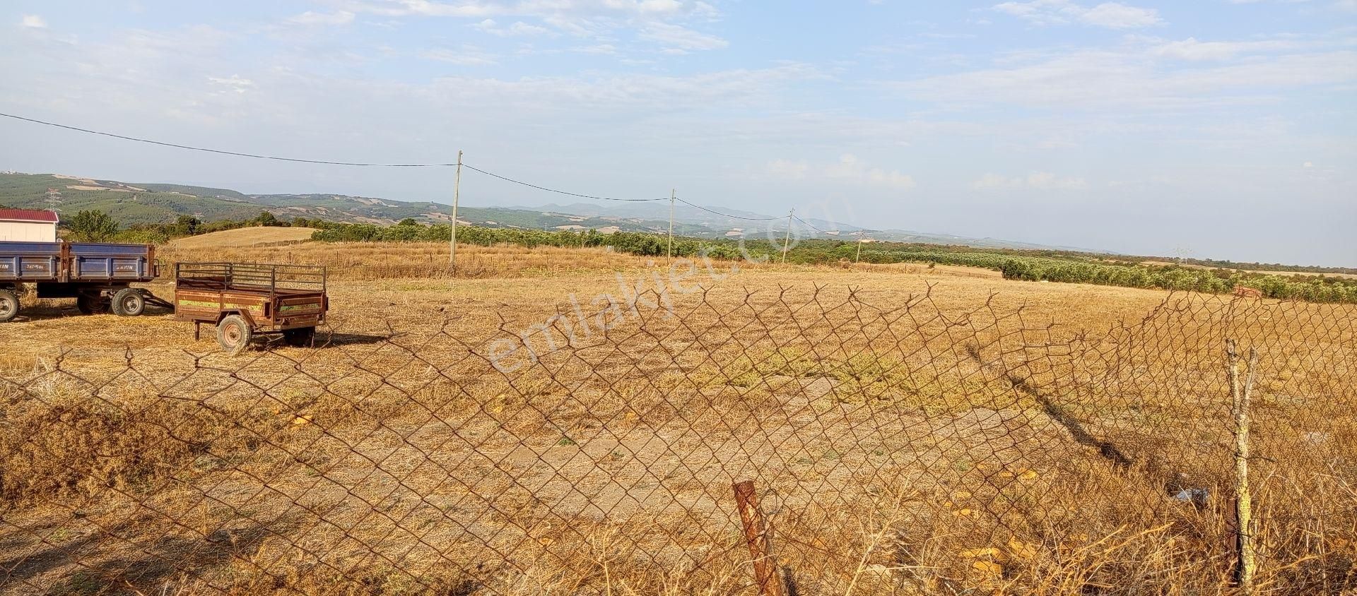 Bursa Karacabey Muratlı Mahallesi Satılık 3.500 Mt2 Hisseli Tarla - Görsel 15