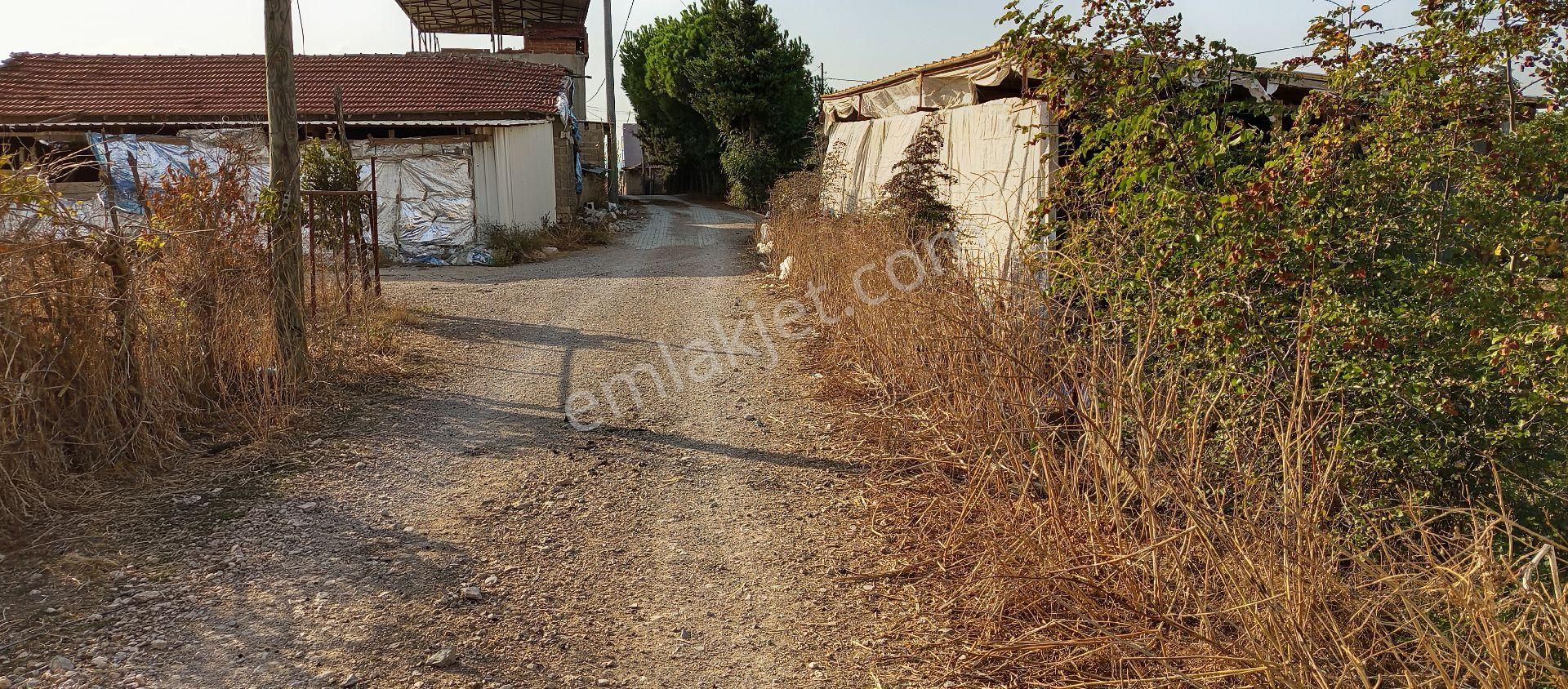 Bursa Karacabey Muratlı Mahallesi Satılık 3.500 Mt2 Hisseli Tarla - Görsel 12