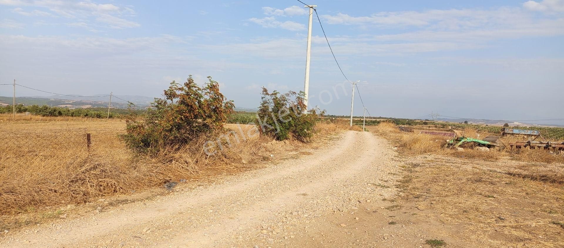 Bursa Karacabey Muratlı Mahallesi Satılık 3.500 Mt2 Hisseli Tarla - Görsel 7