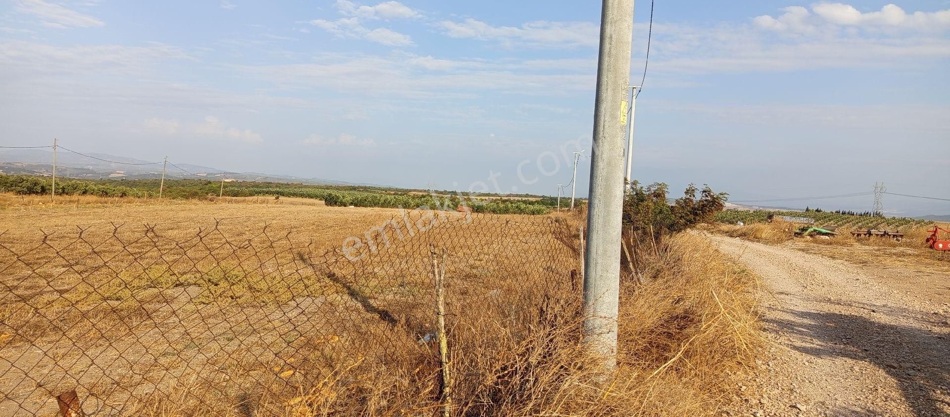 Bursa Karacabey Muratlı Mahallesi Satılık 3.500 Mt2 Hisseli Tarla - Görsel 16